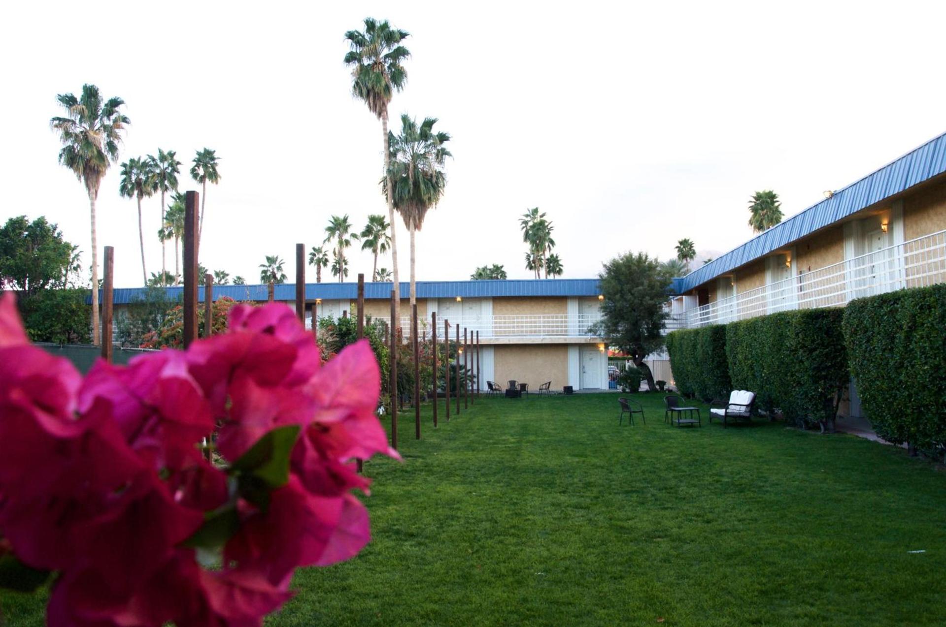 Delos Reyes Palm Springs photo 8