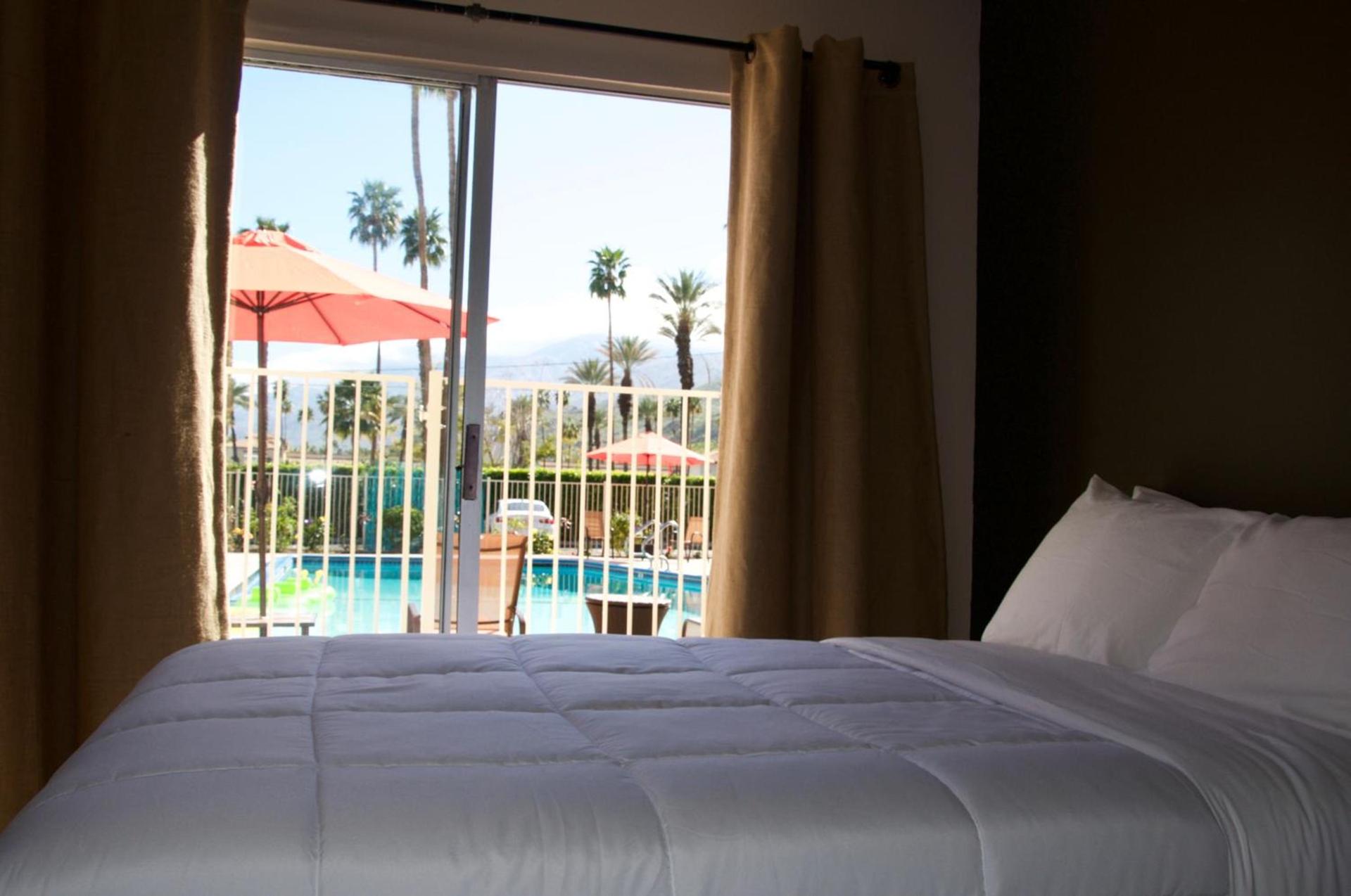 Delos Reyes Palm Springs photo 53