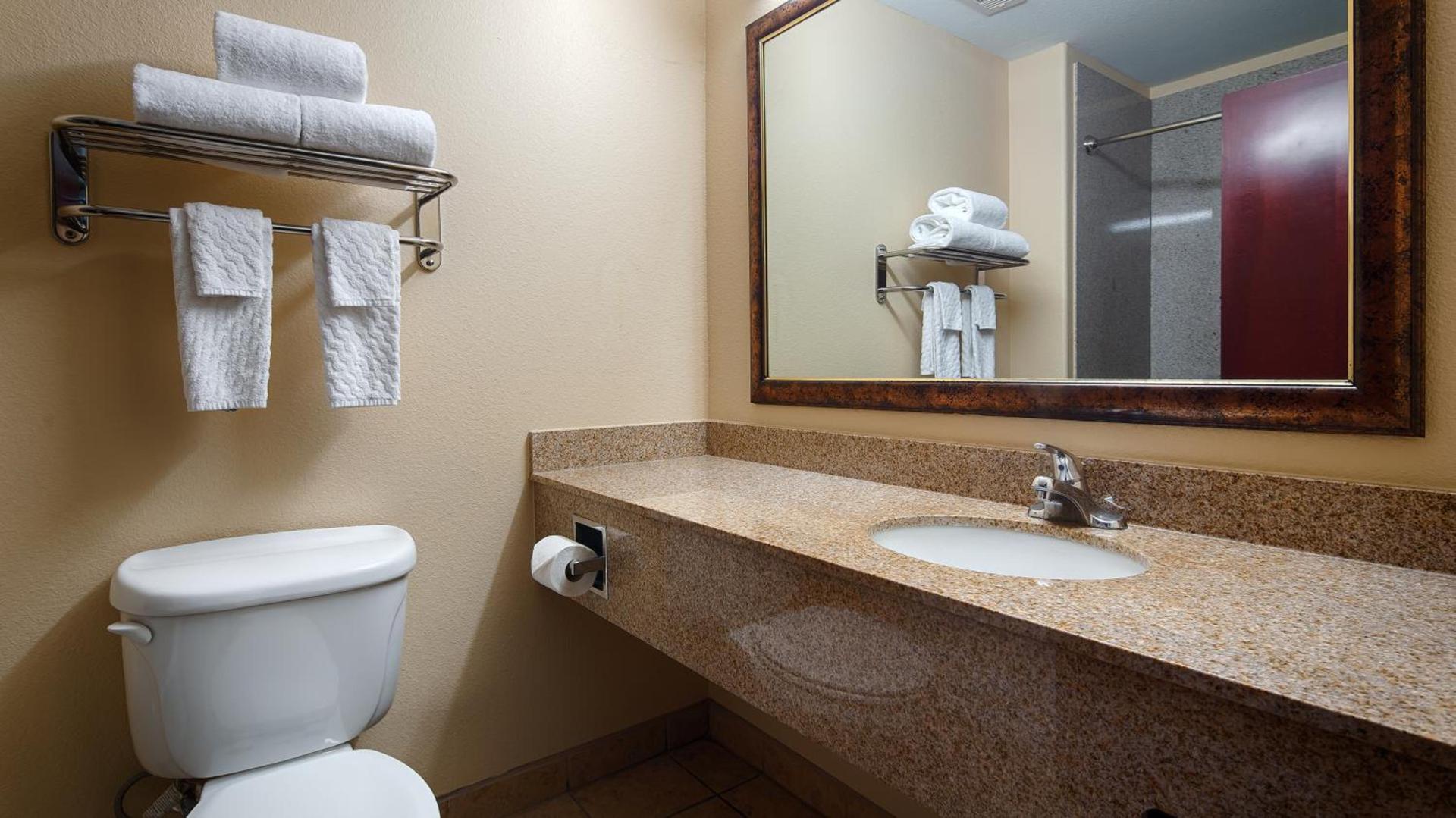 Best Western Plus Katy Inn & Suites photo 16
