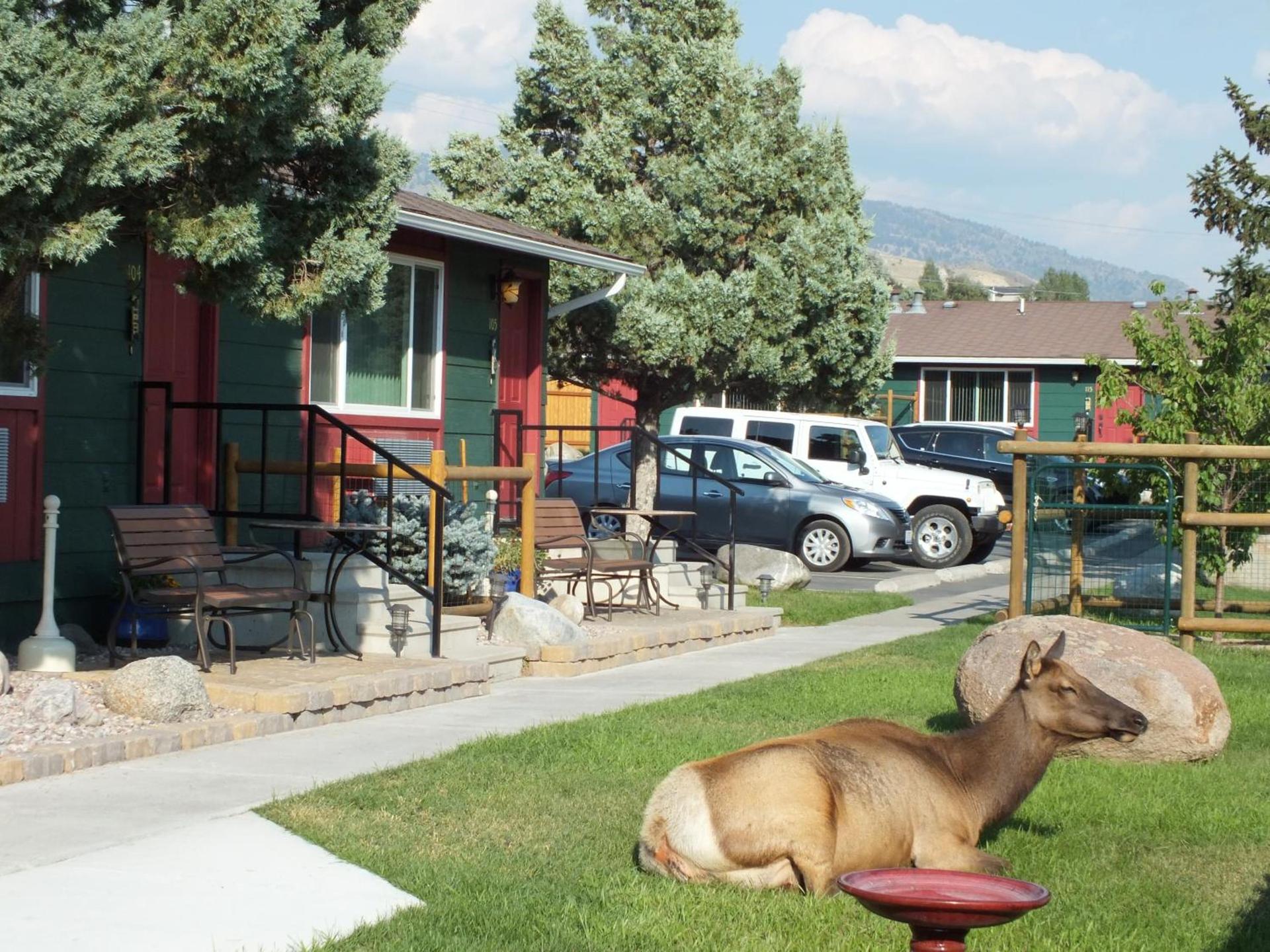 Yellowstone Gateway Inn photo 70