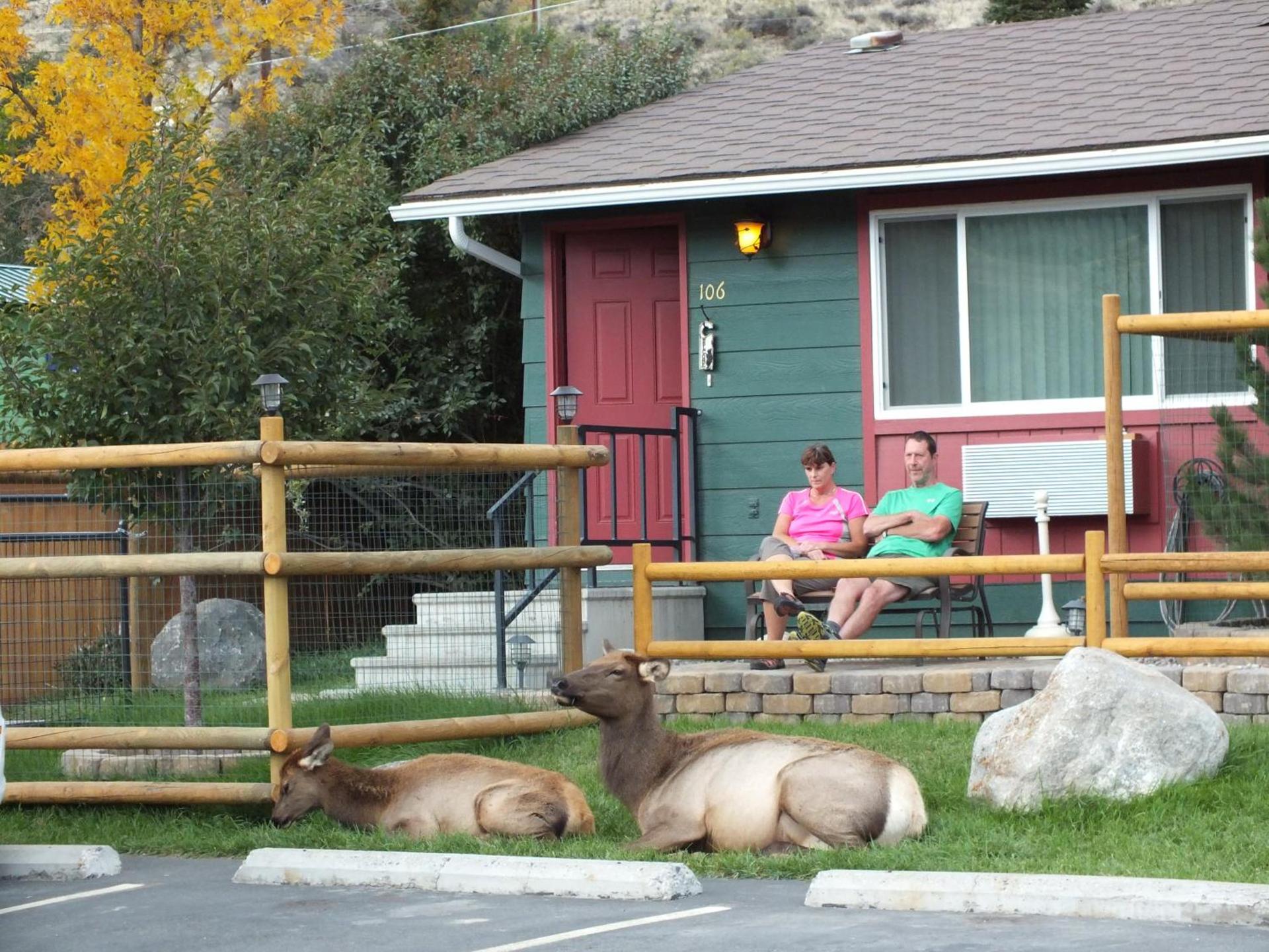 Yellowstone Gateway Inn photo 95