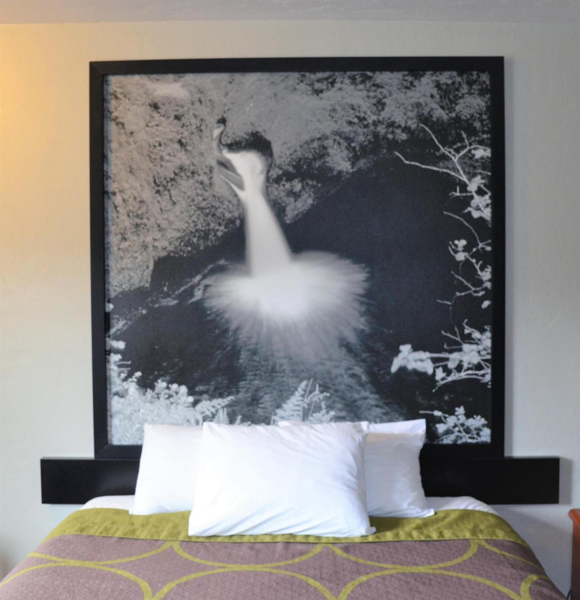 Super 8 by Wyndham Roseburg photo 39