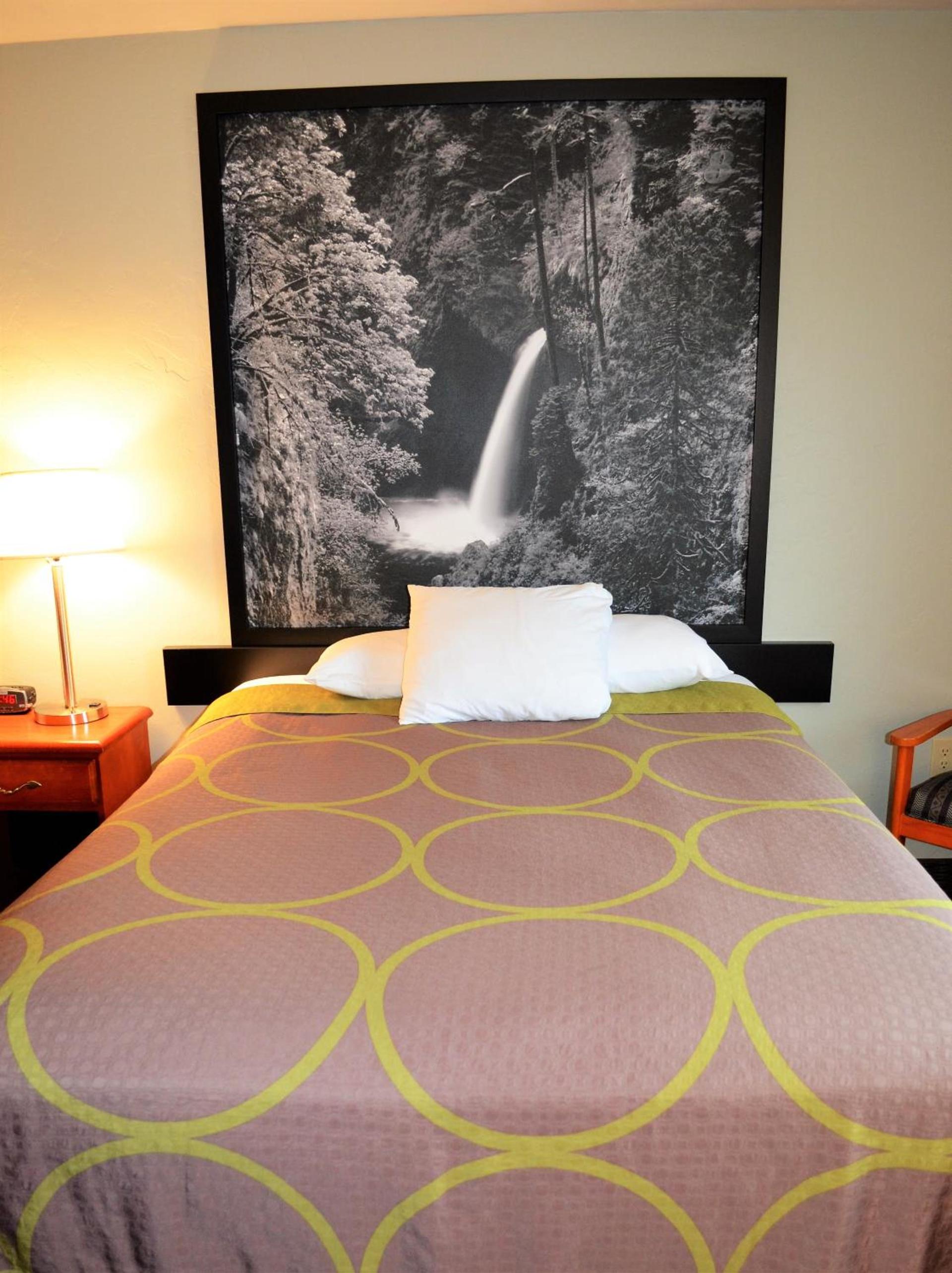 Super 8 by Wyndham Roseburg photo 46