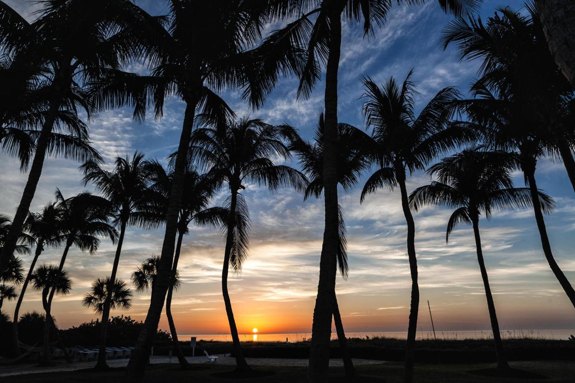 Sanibel Island Beach Resort photo 14