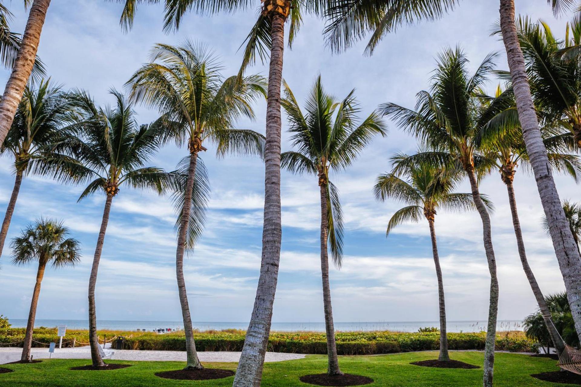 Sanibel Island Beach Resort photo 15