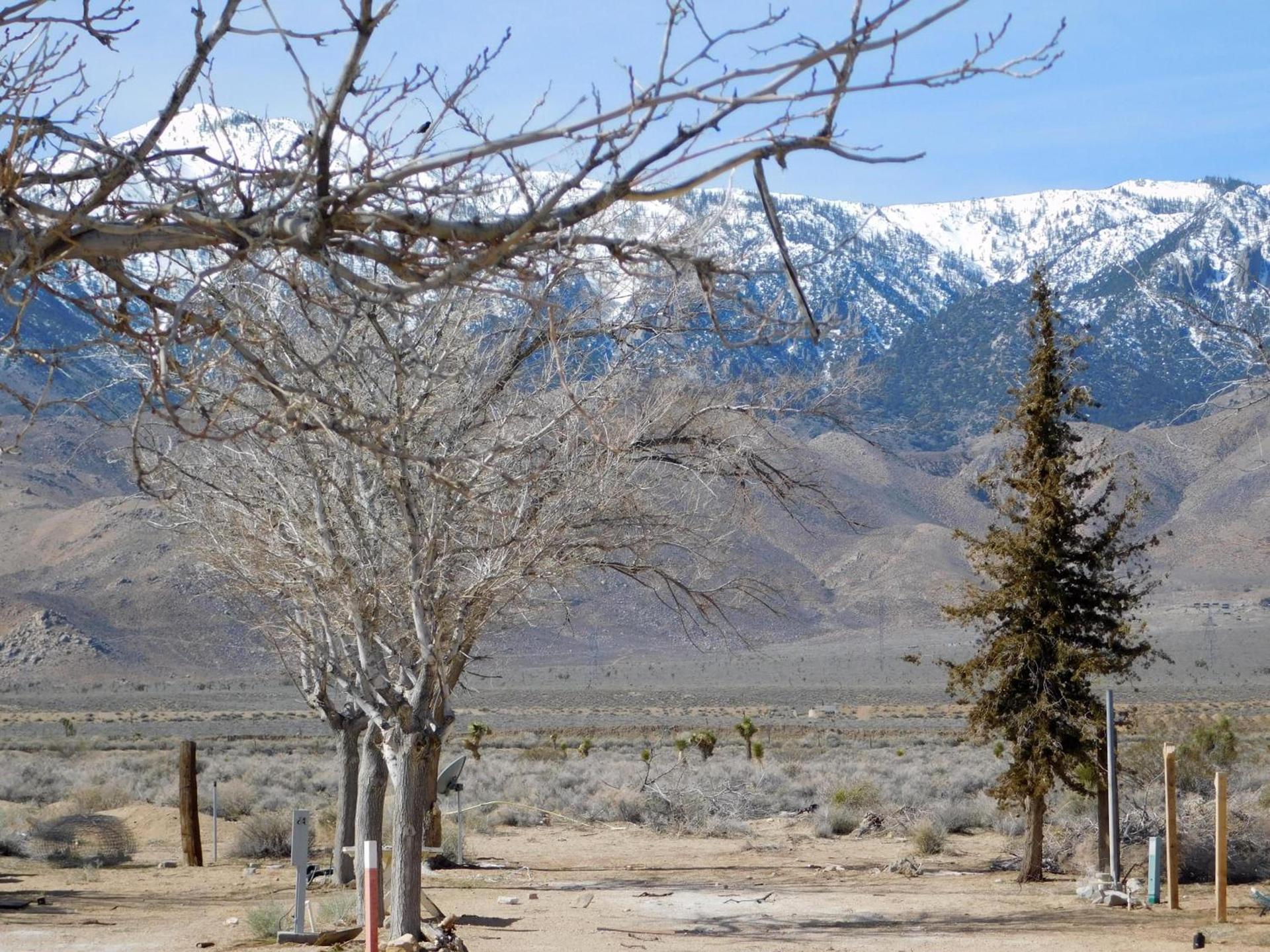 Olancha RV Park and Motel photo 85
