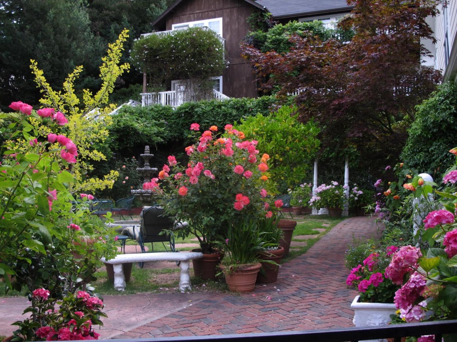 Inn at Occidental photo 2
