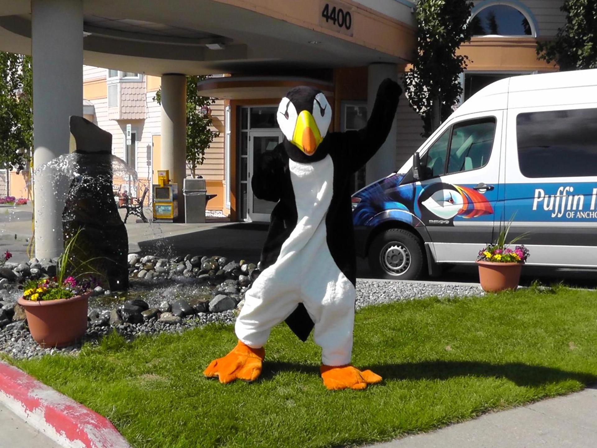 Puffin Inn photo 4