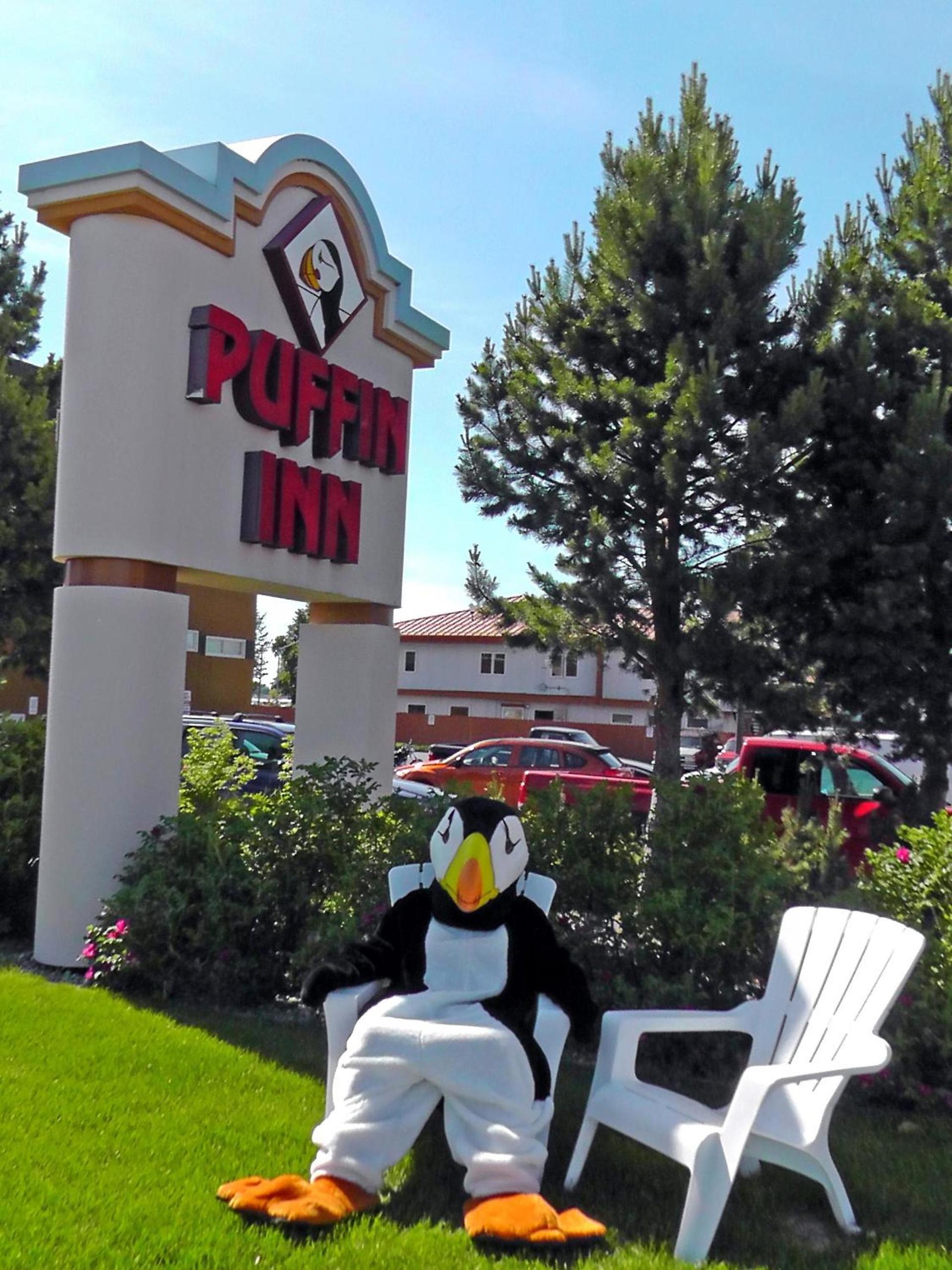 Puffin Inn photo 31