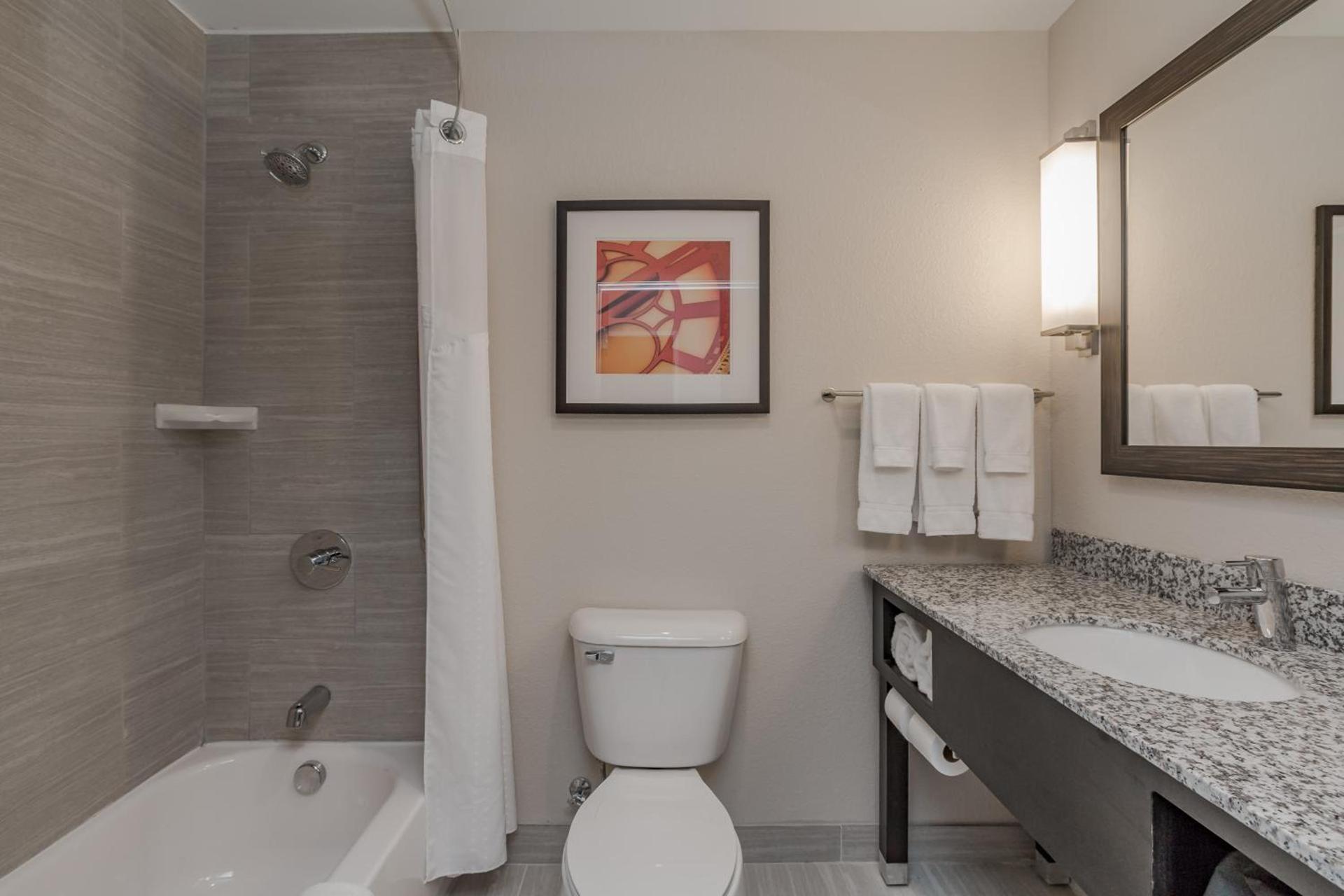 Holiday Inn Mishawaka by IHG photo 5