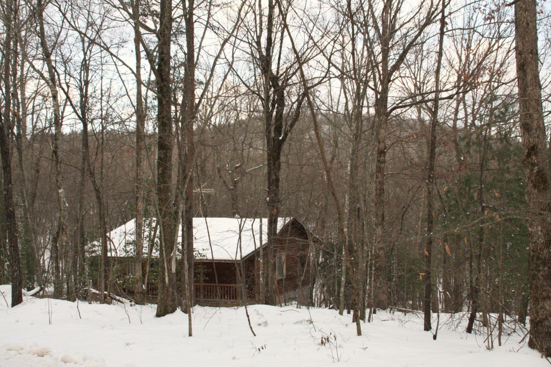 Forrest Hills Mountain Resort photo 7