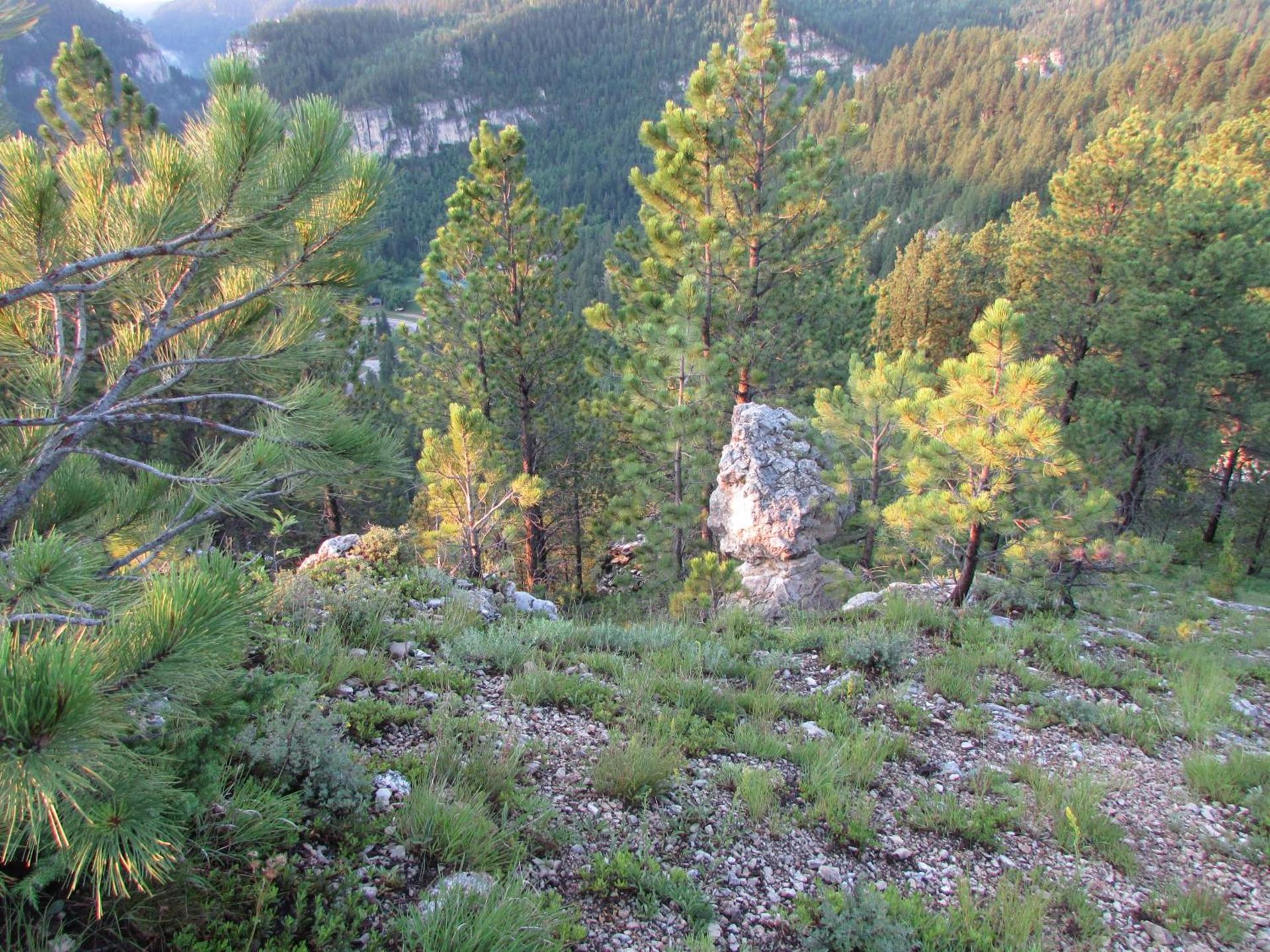 Spearfish Canyon Lodge photo 34