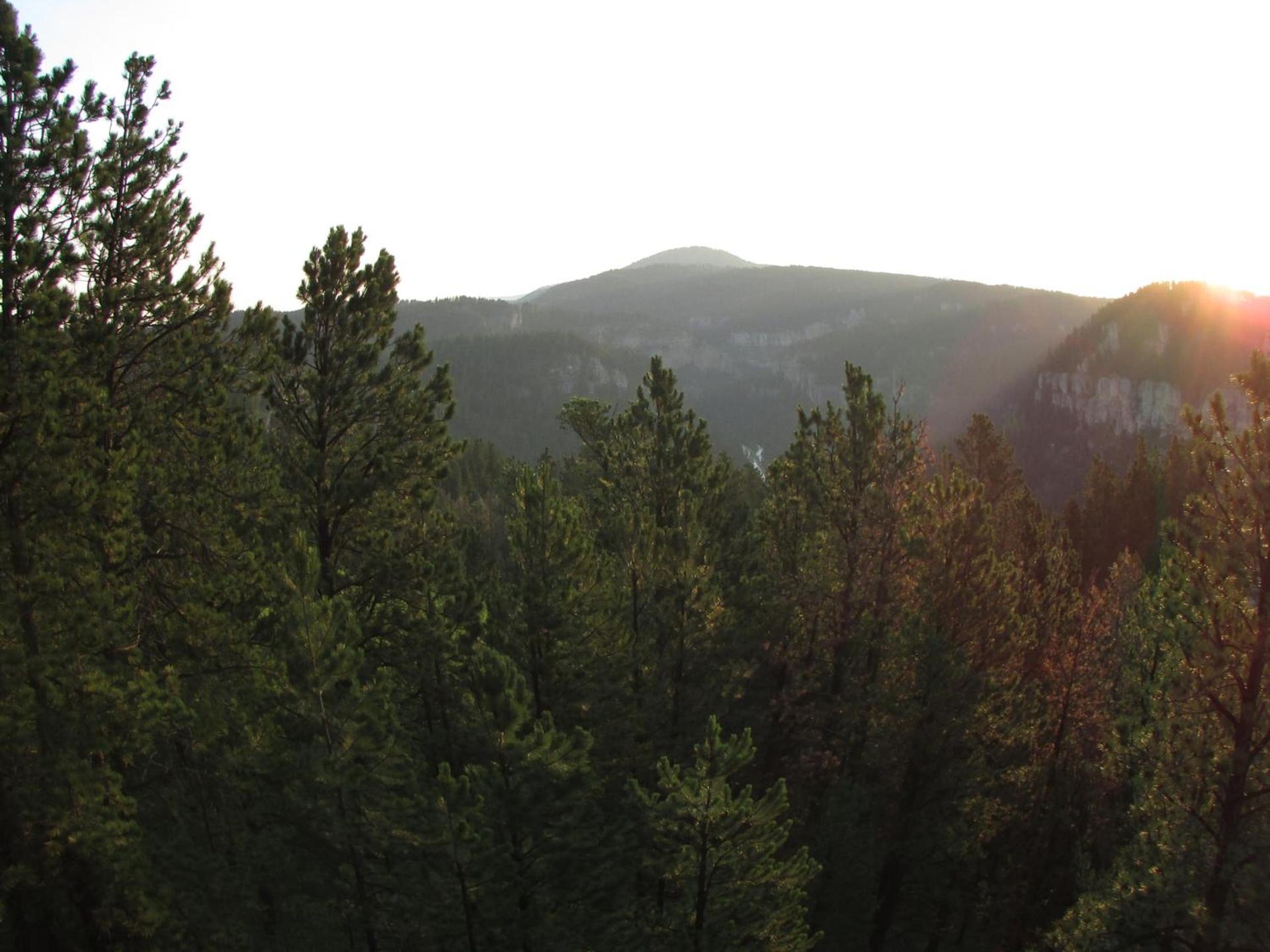 Spearfish Canyon Lodge photo 29