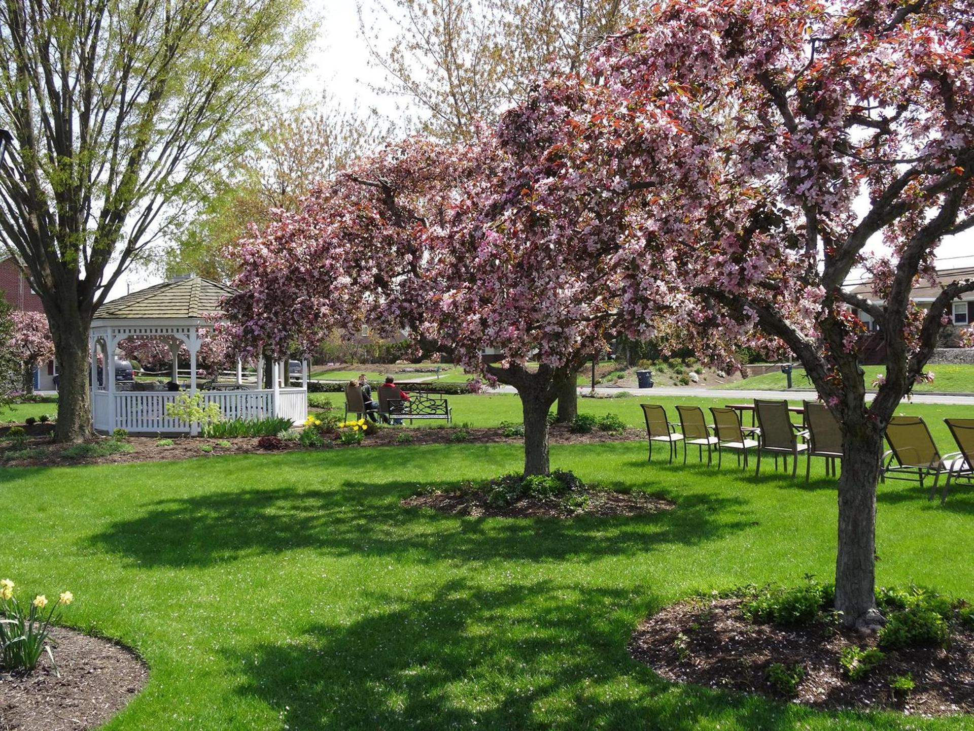 Travelers Rest Motel photo 18