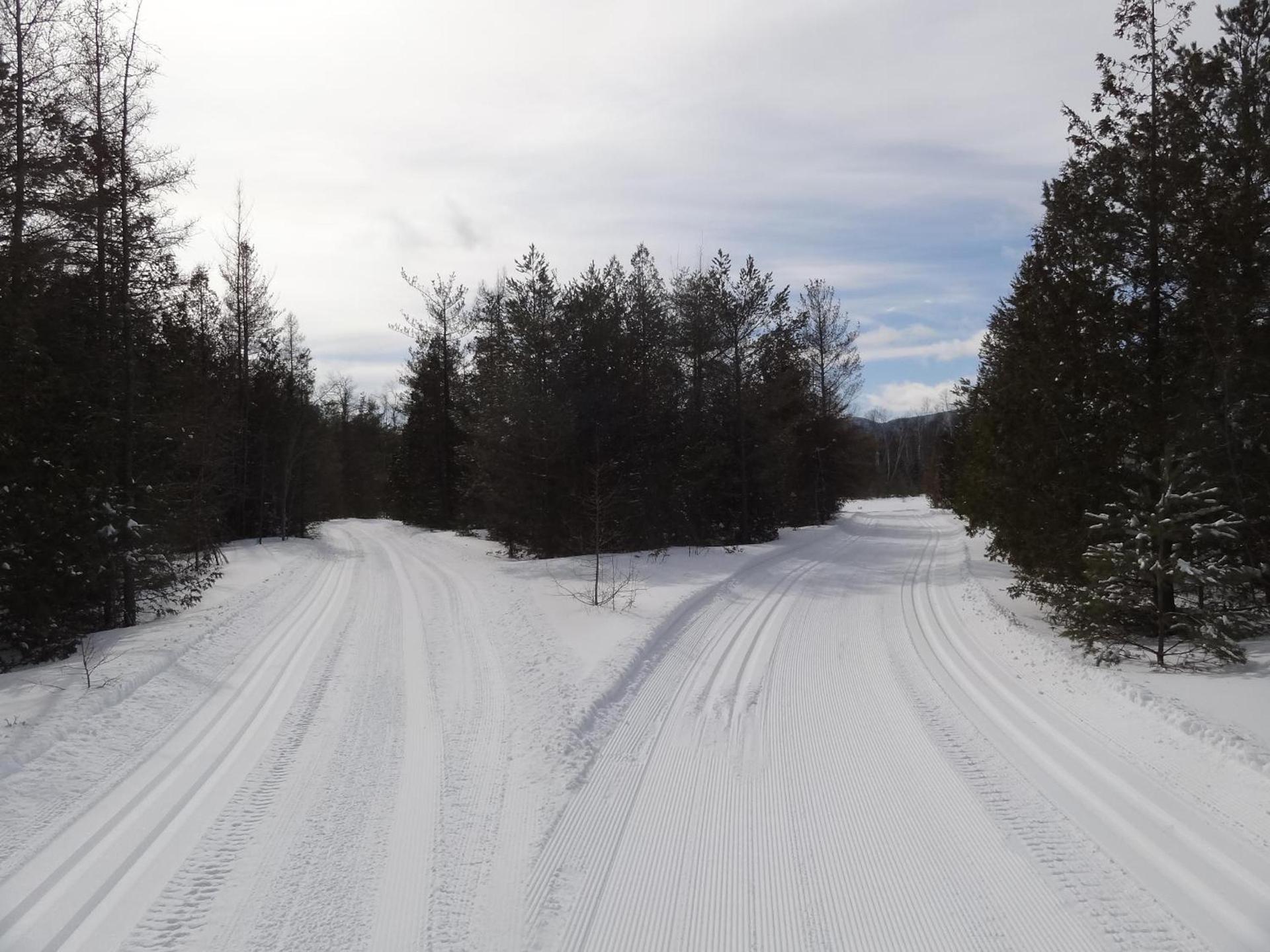 Garnet Hill Lodge photo 12