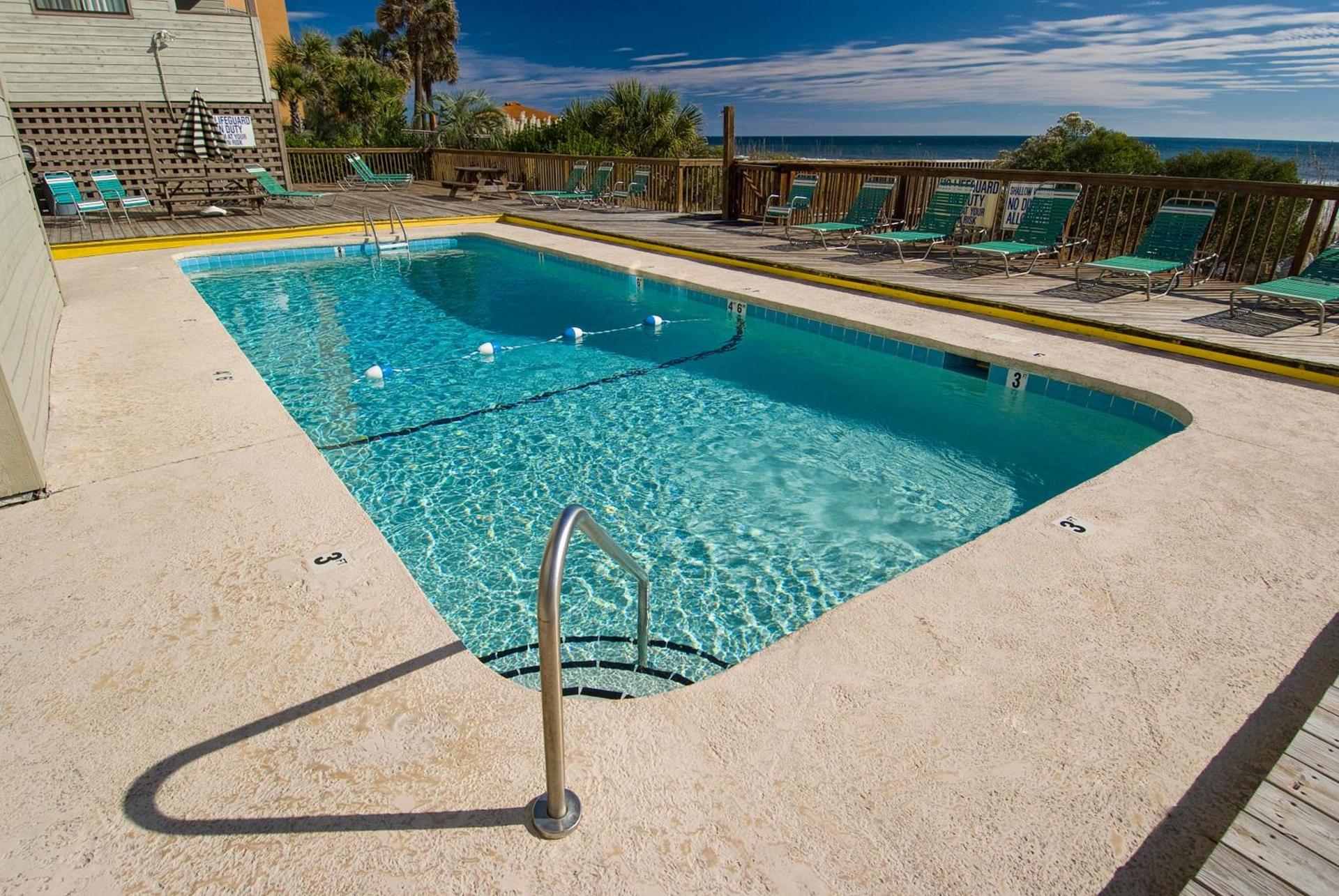 Ocean Forest Colony photo 15
