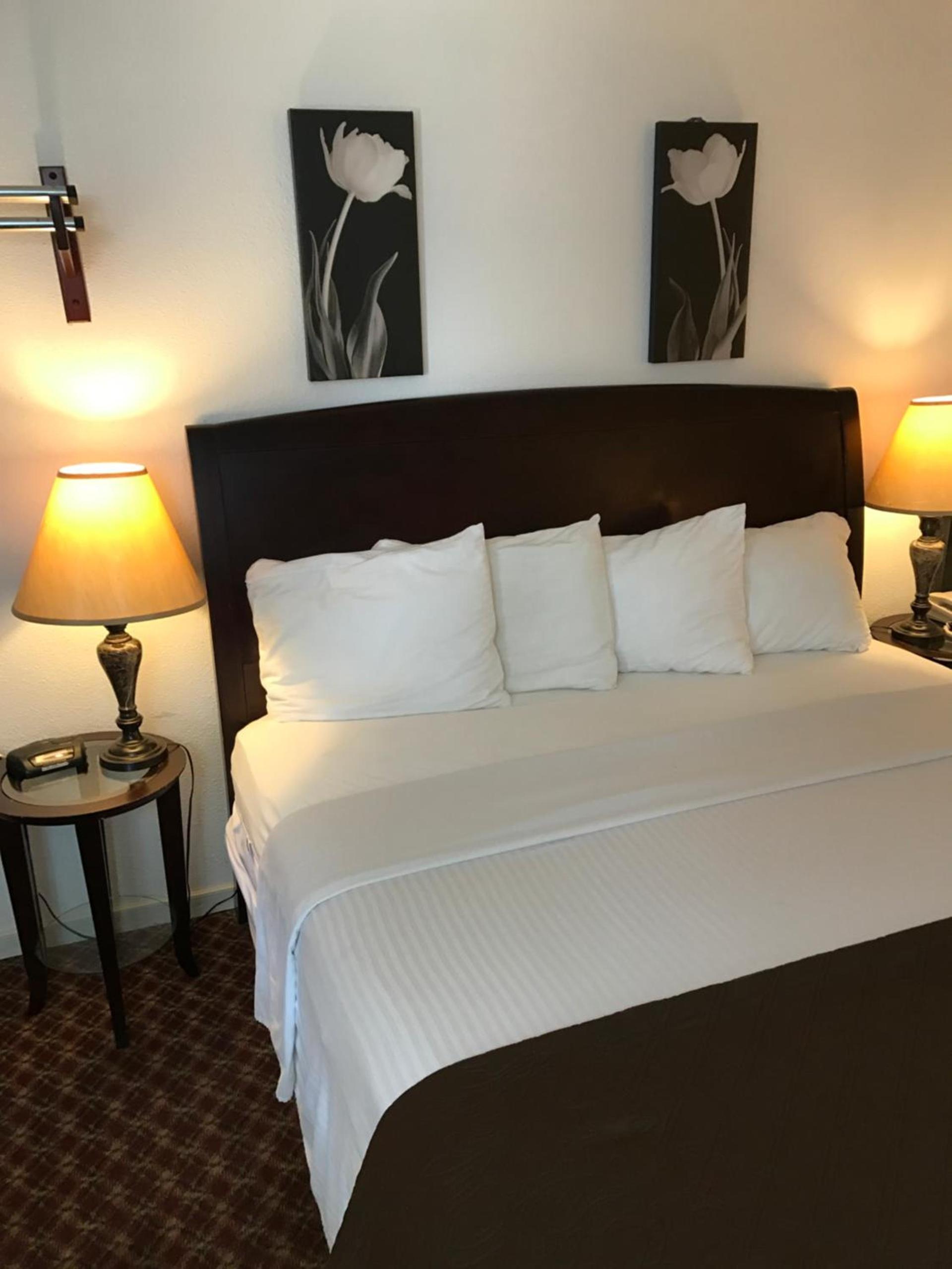 Gold Pan Lodge photo 36