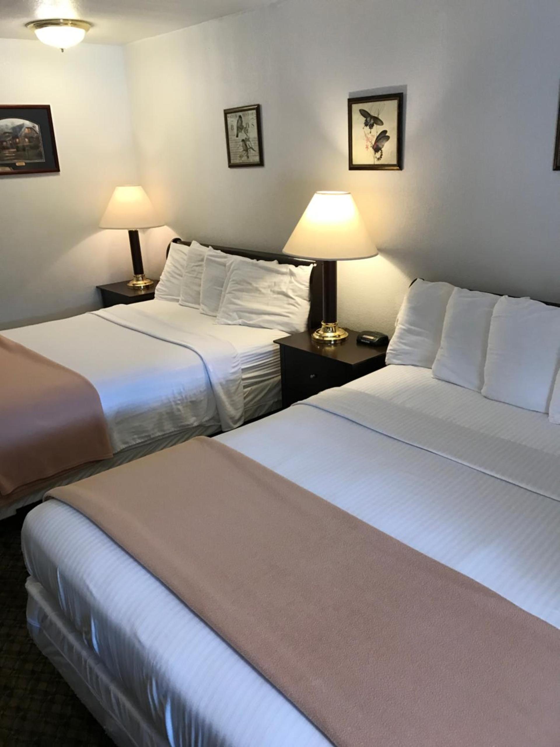 Gold Pan Lodge photo 13