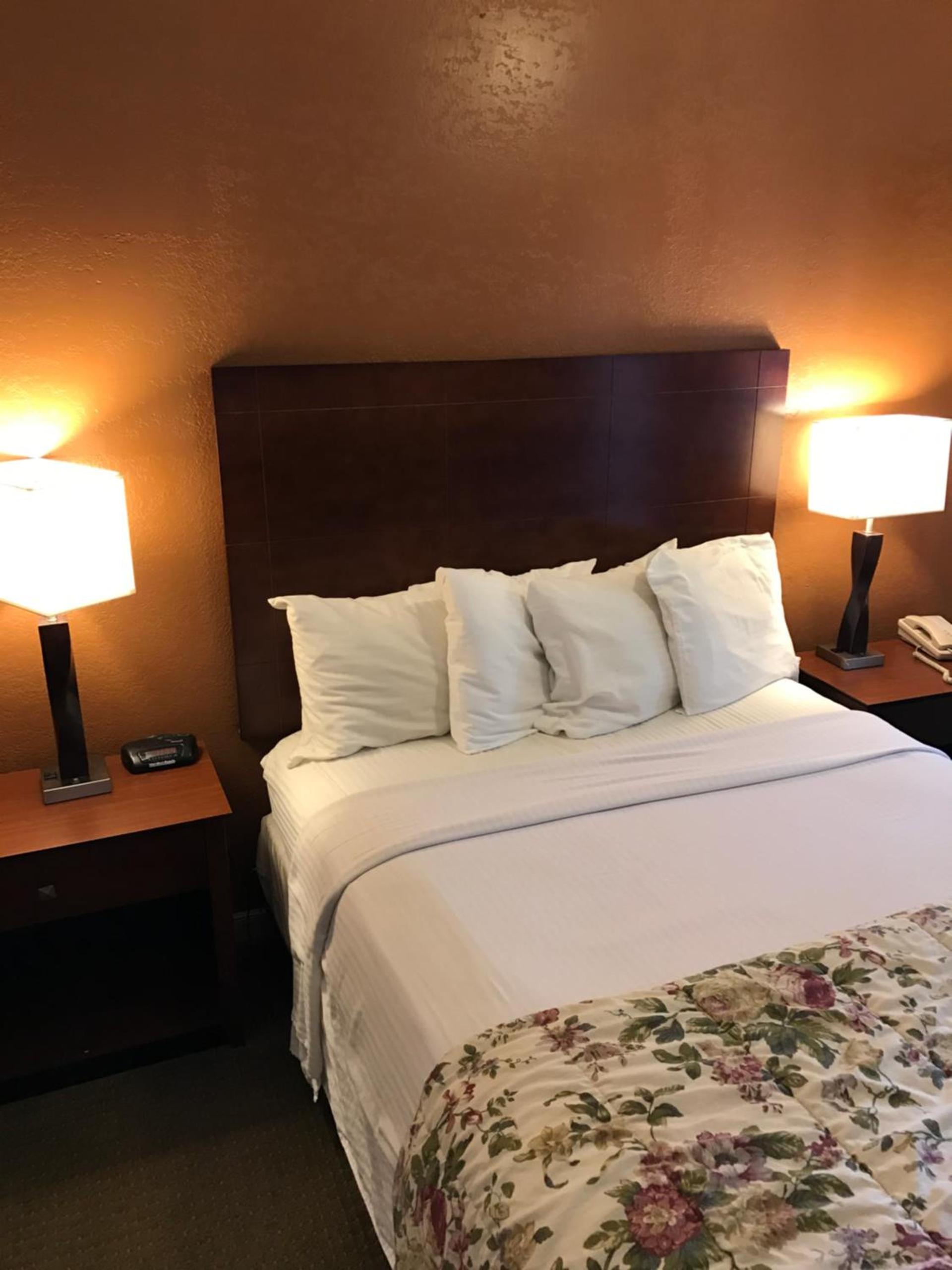 Gold Pan Lodge photo 5