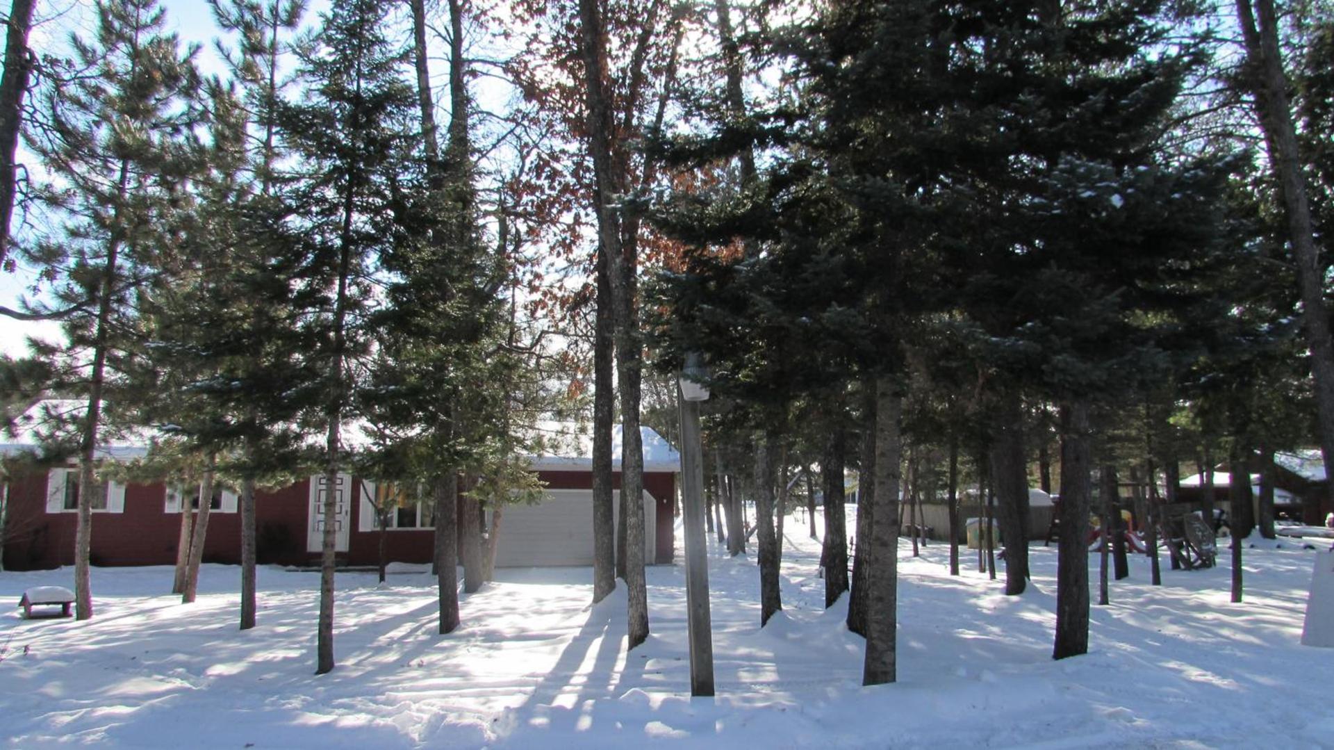 Woodland Motor Lodge photo 3