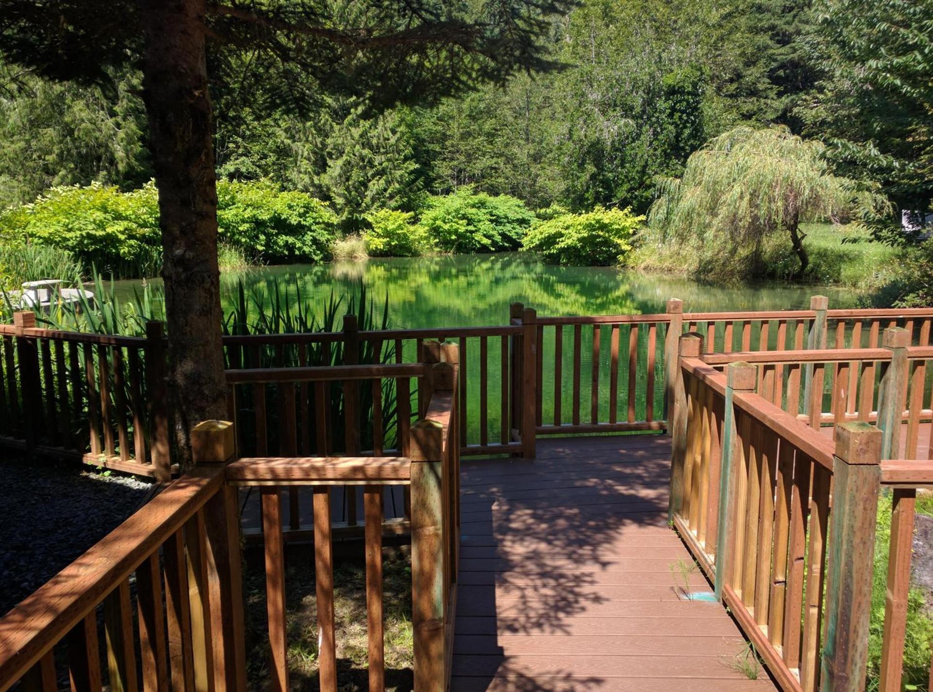 Alexander's Lodge photo 17
