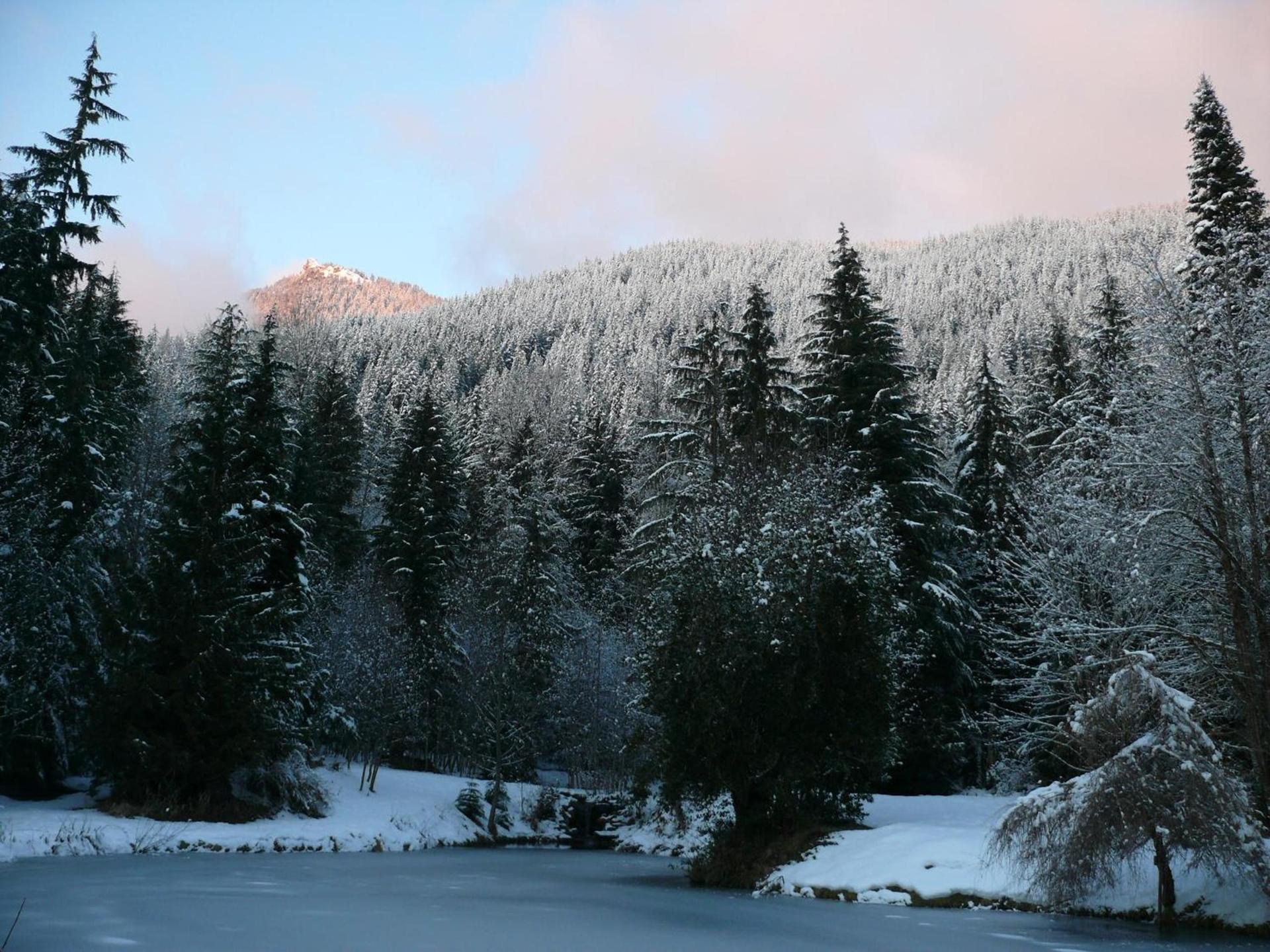 Alexander's Lodge photo 40