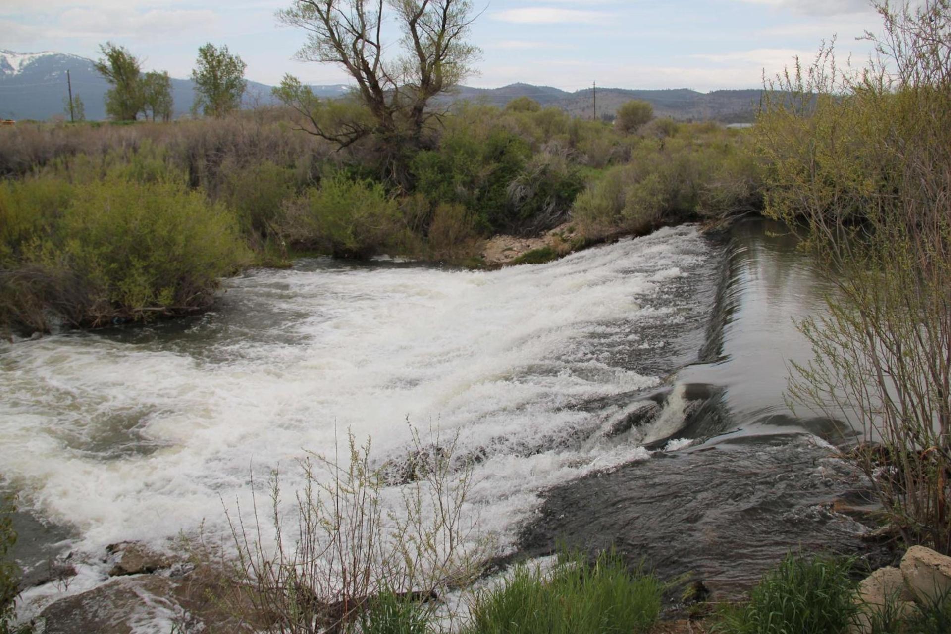 SureStay Plus Hotel by Best Western Susanville photo 15