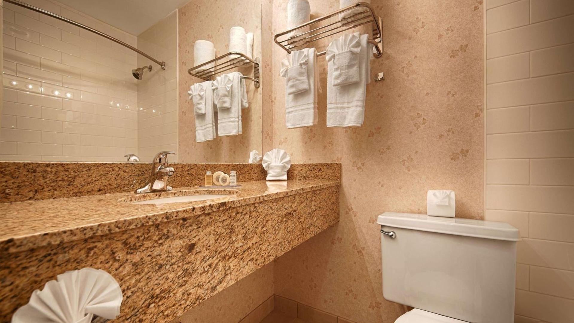 Lamplighter Inn & Suites at SDSU photo 10
