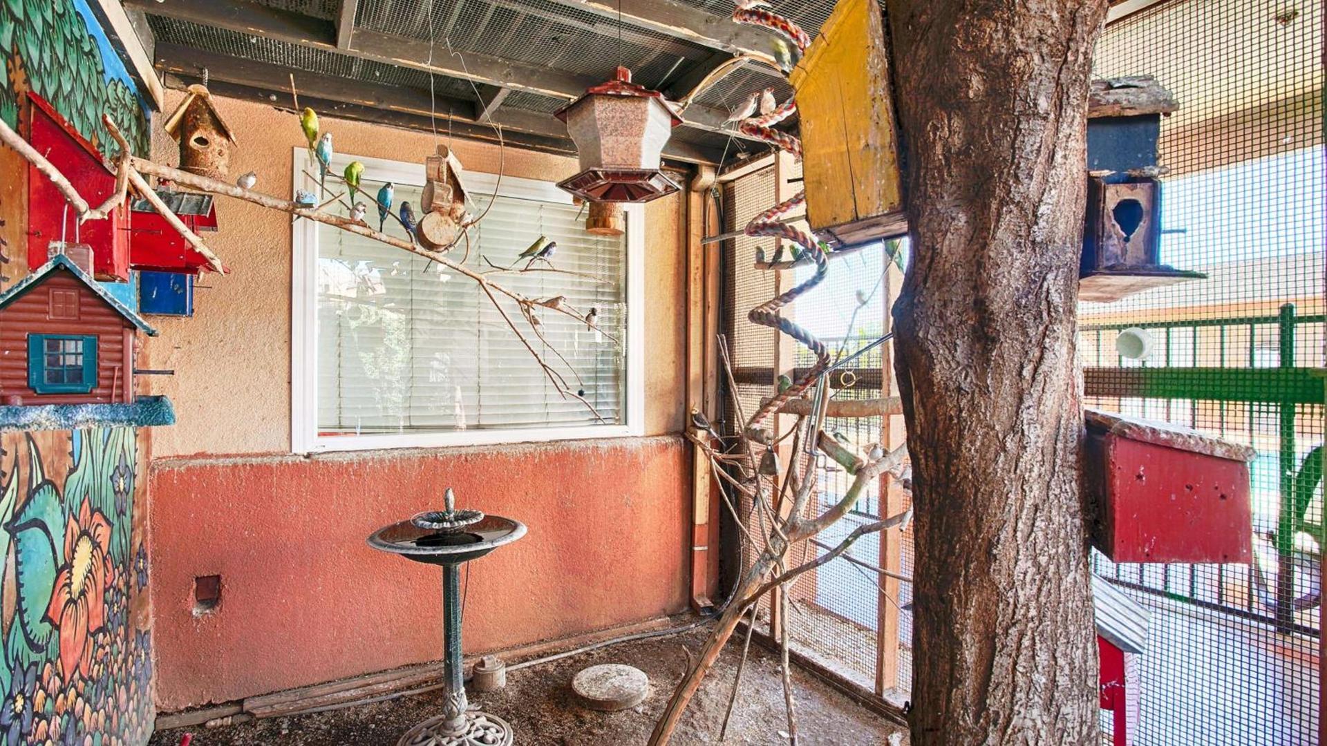 Best Western Antelope Inn & Suites photo 48