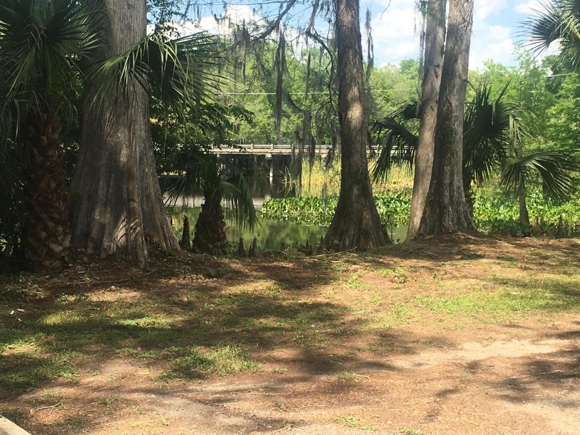 Big Cypress photo 25