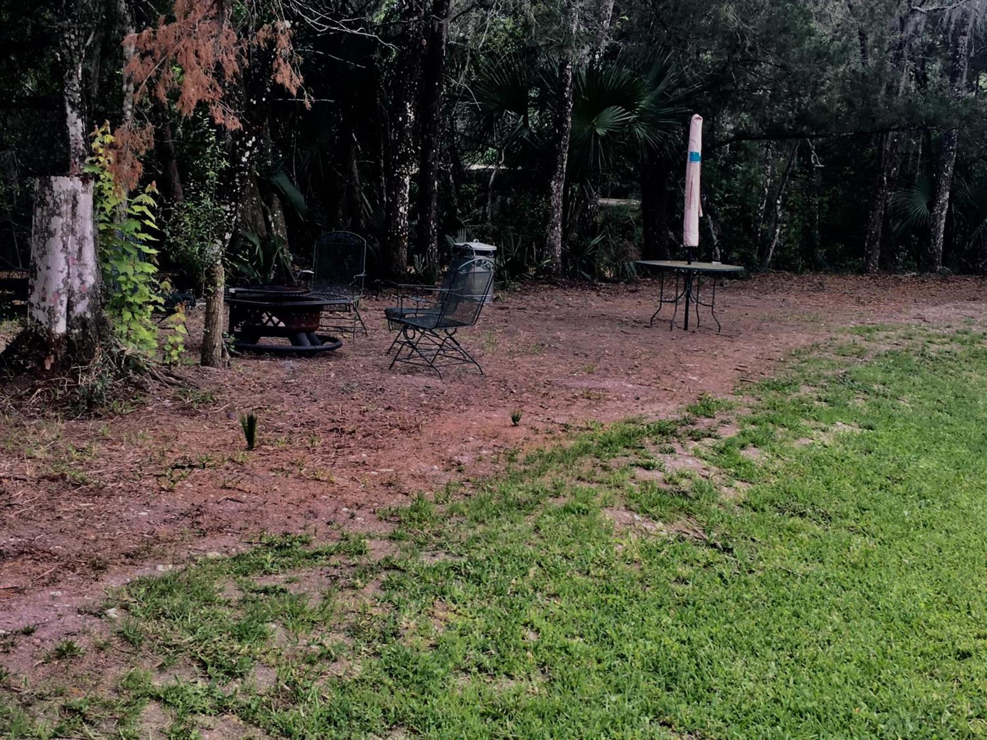 Big Cypress photo 10