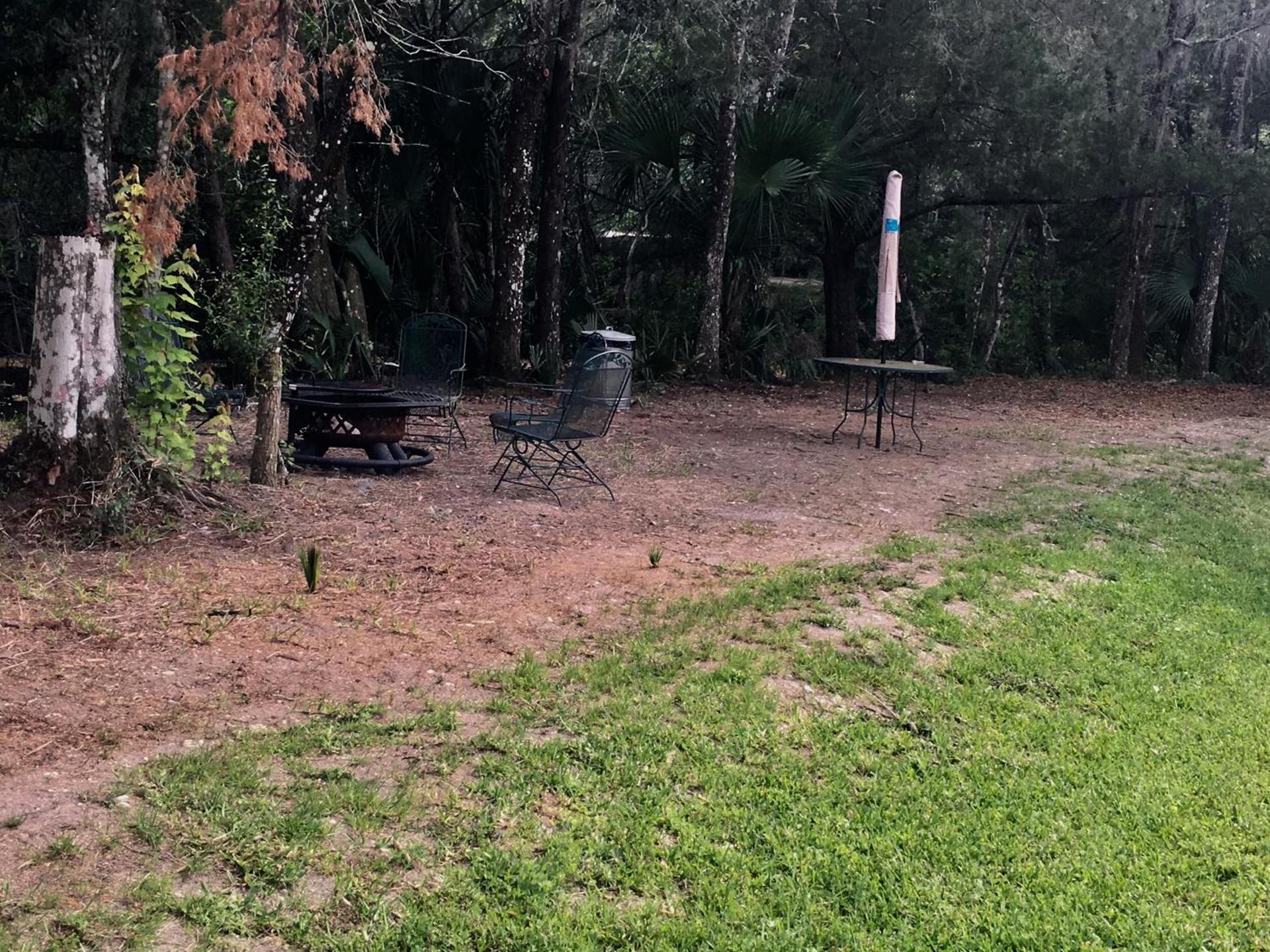 Big Cypress photo 6