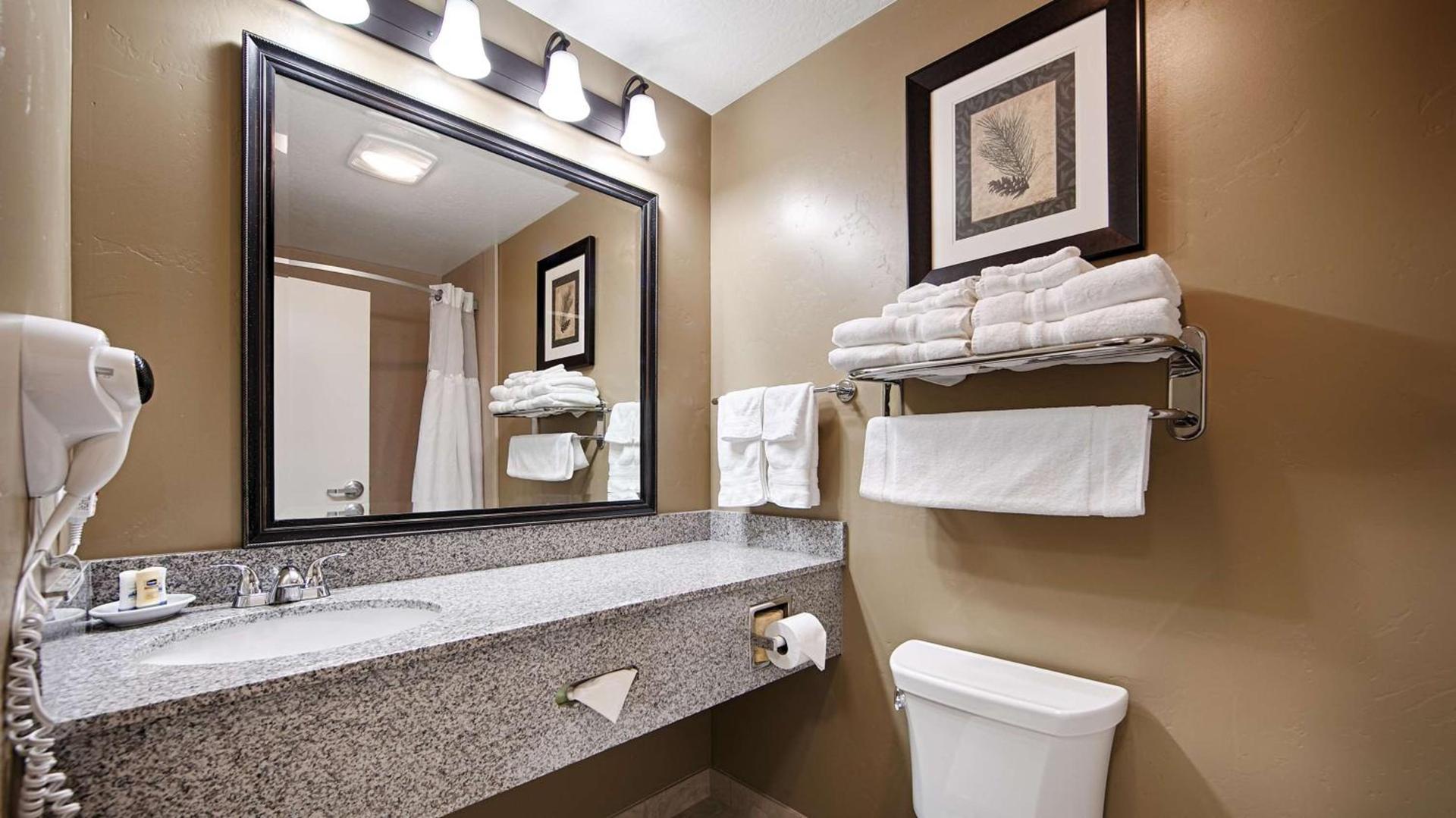 Best Western Plus Layton Park Hotel photo 28