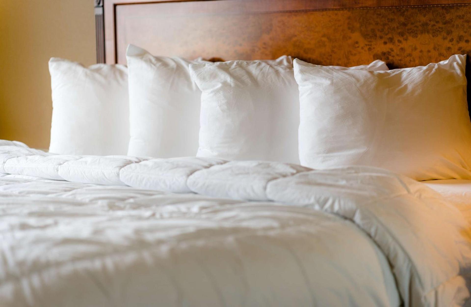The Wildwood Hotel photo 50