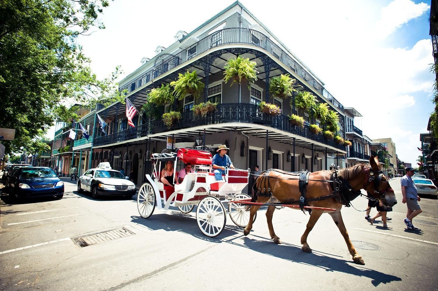 Hotel Royal New Orleans photo 34