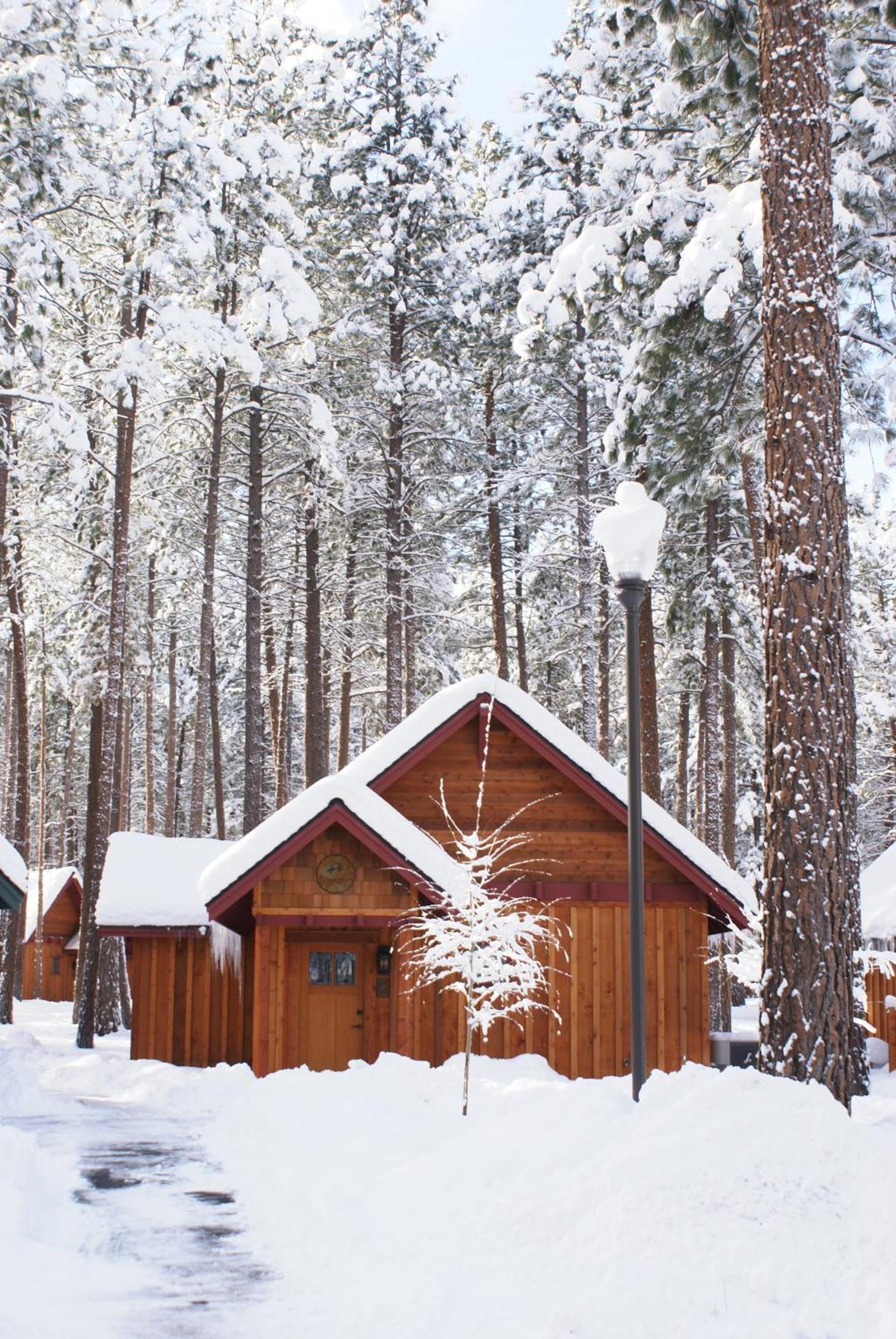 FivePine Lodge photo 94