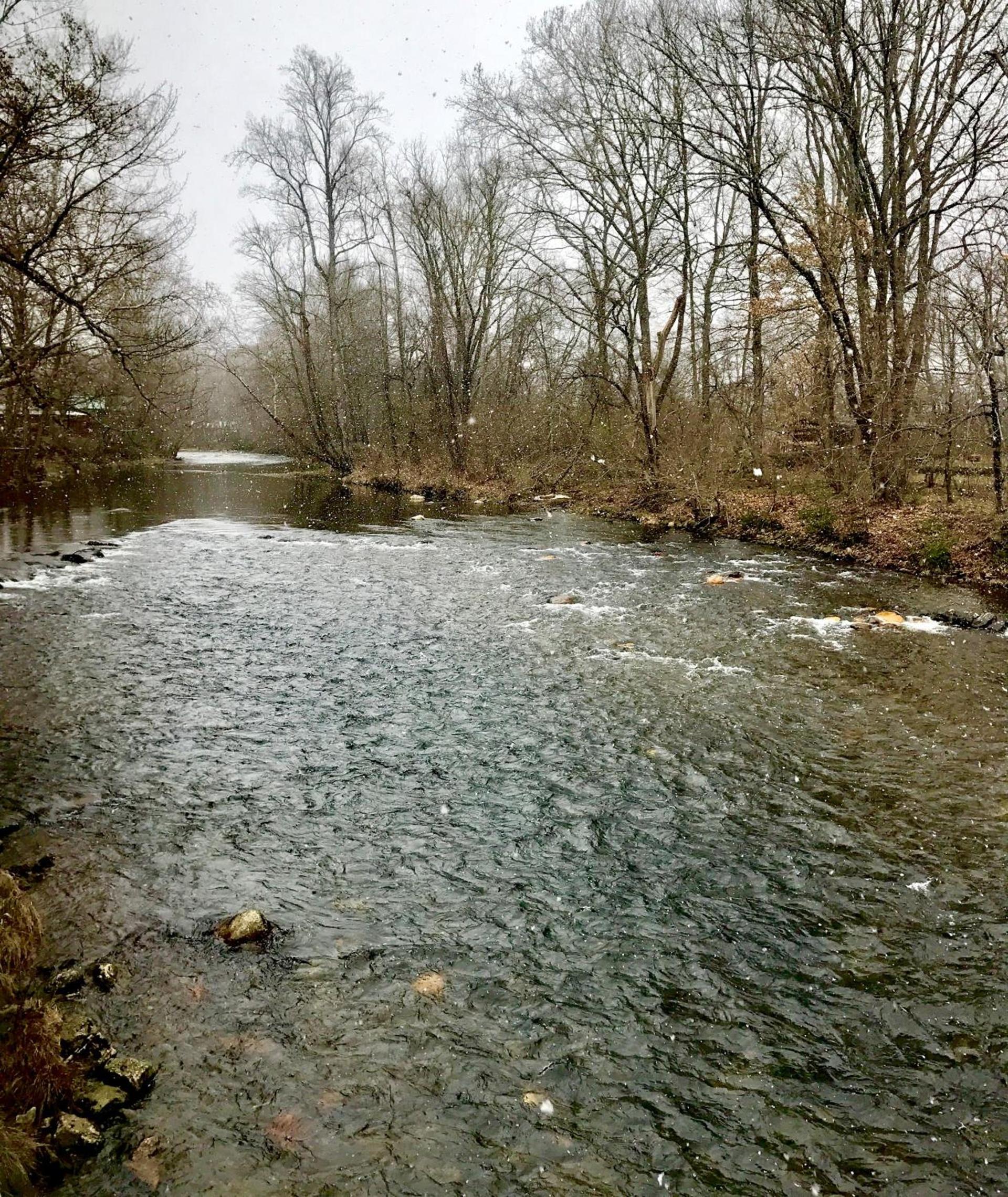 Rivers Edge Motel photo 6