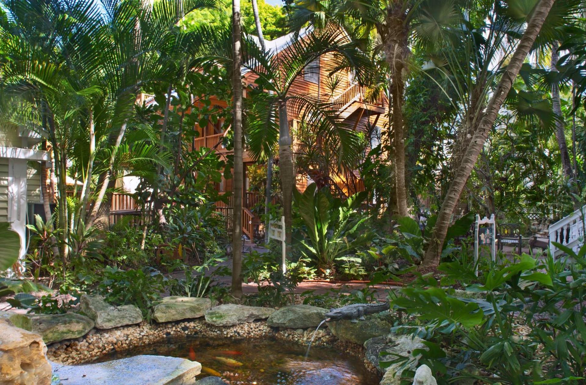 Island City House photo 8