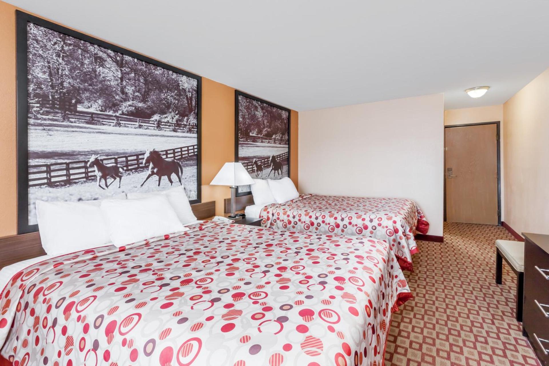 Super 8 South by Wyndham photo 27