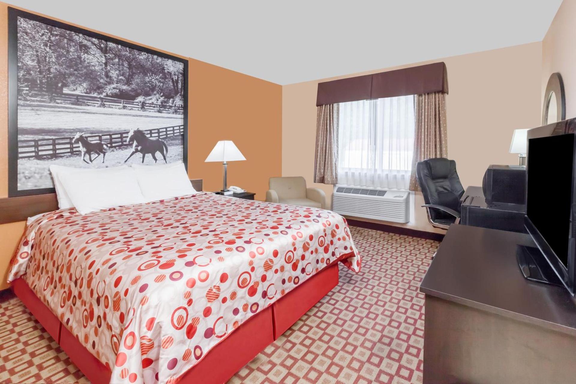 Super 8 South by Wyndham photo 29