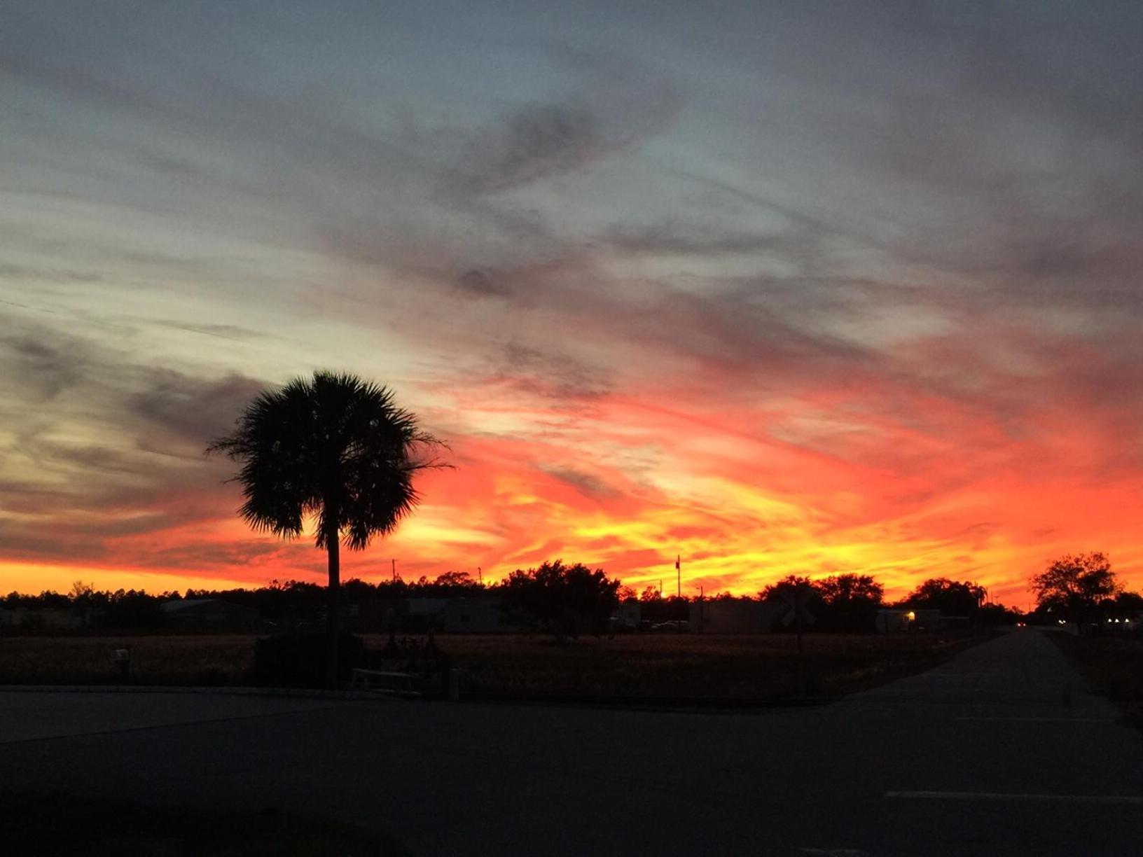 Woody's RV Resort LLC photo 22