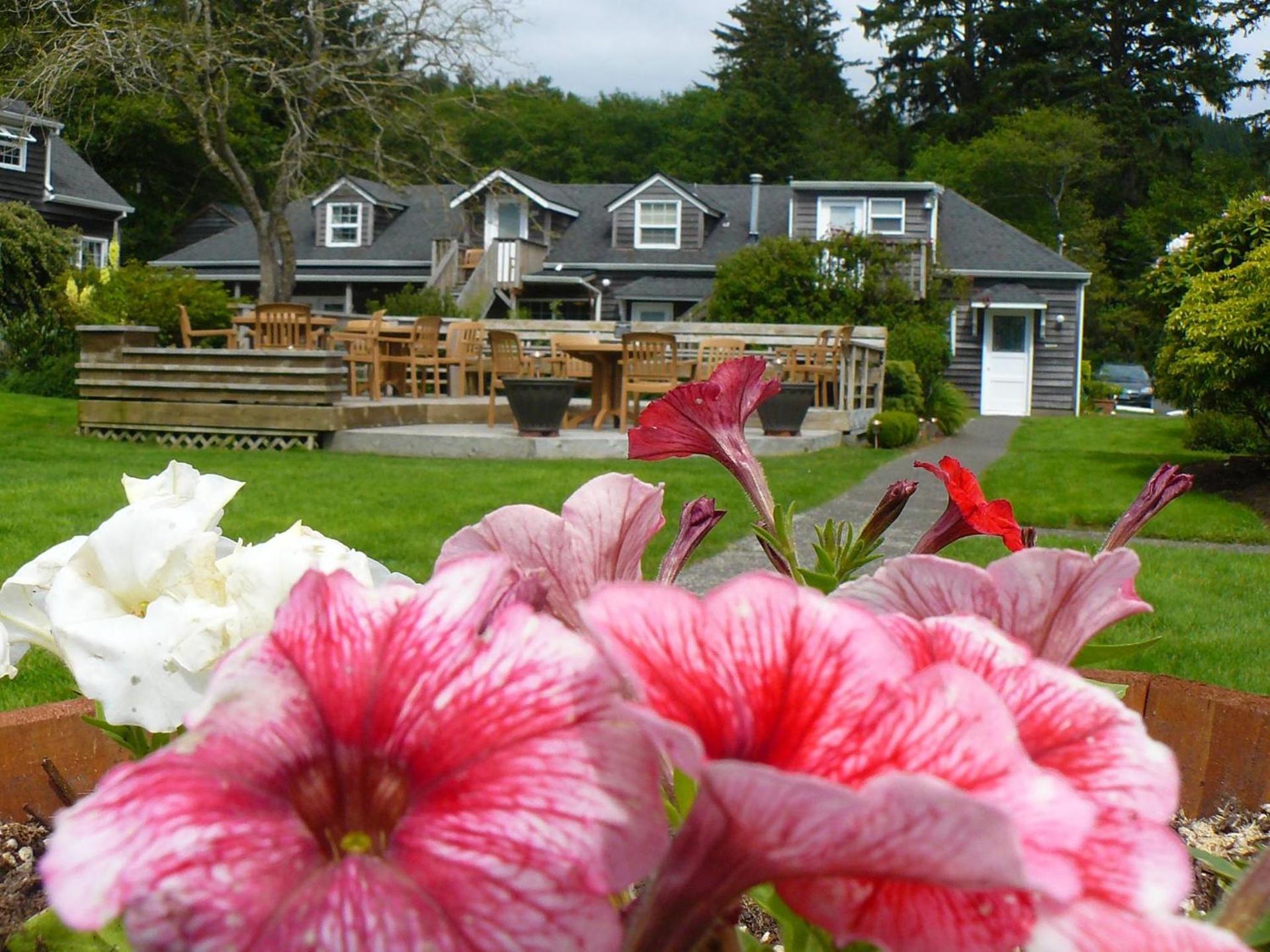 Ecola Creek Lodge photo 2