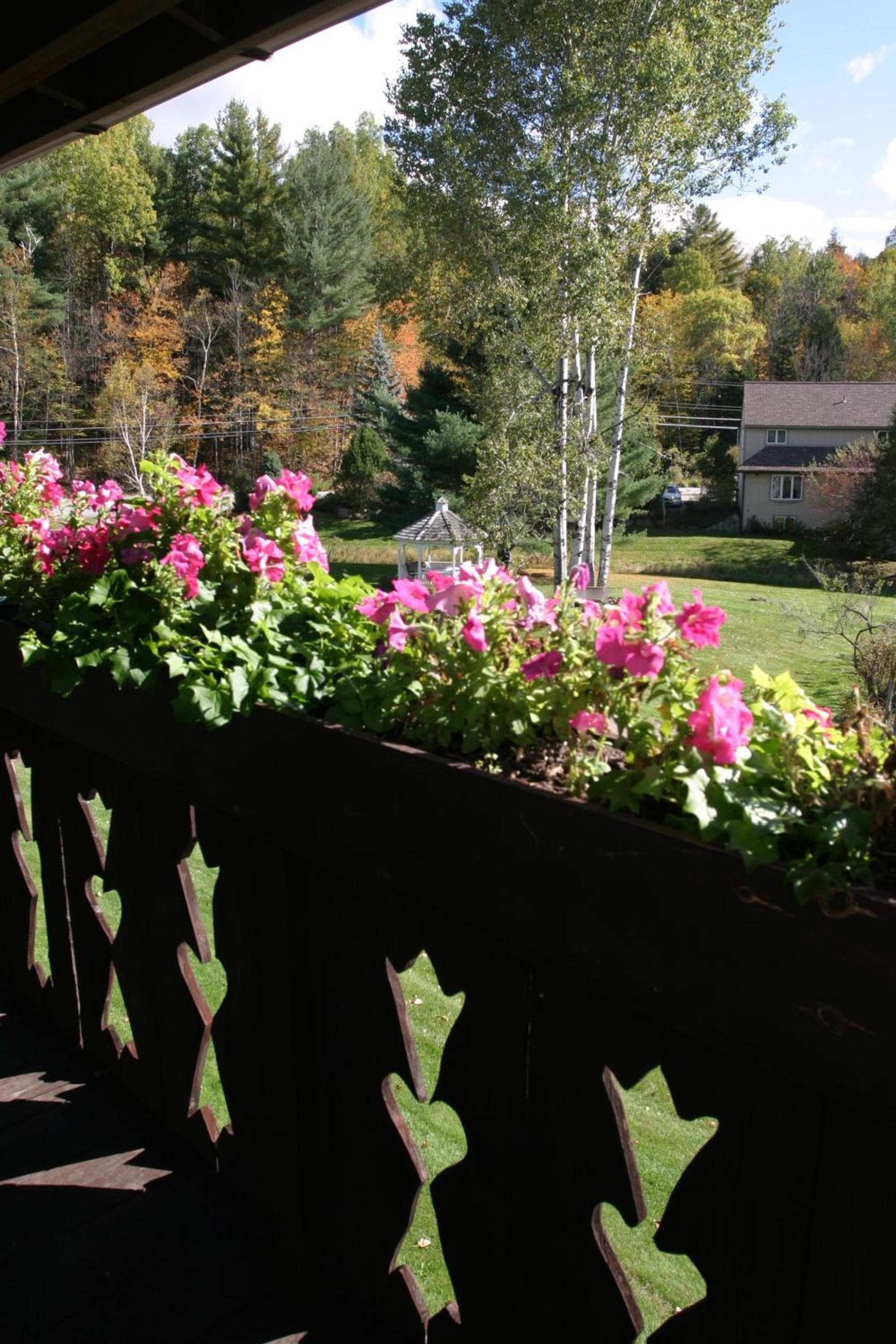Innsbruck Inn at Stowe photo 20