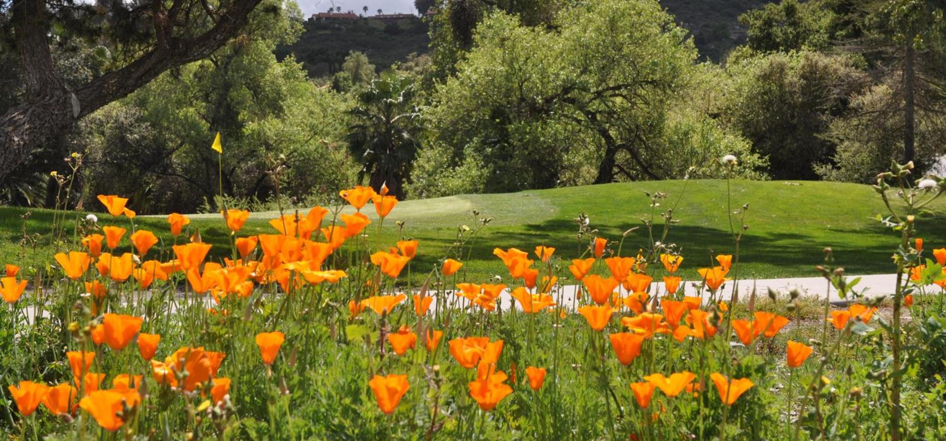 San Vicente Golf Resort photo 46