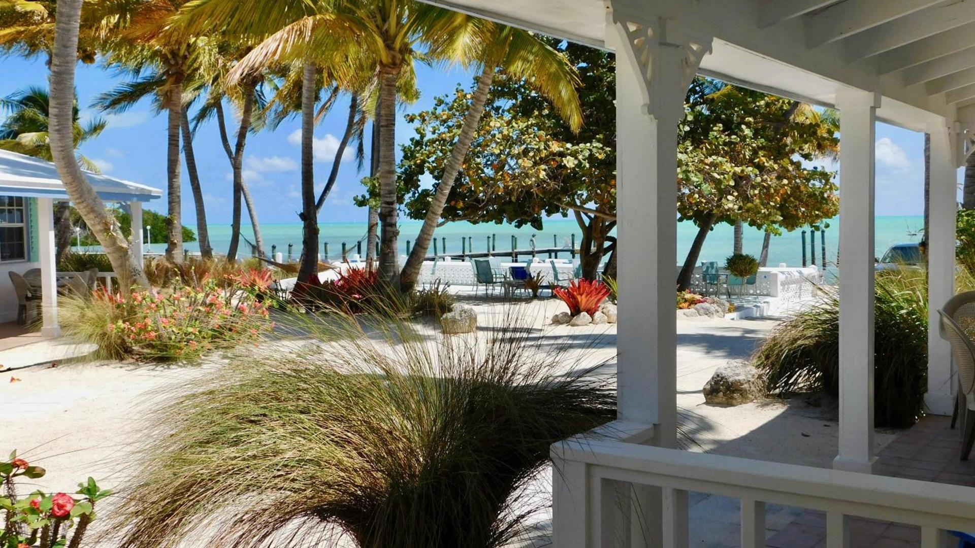Pines & Palms Resort photo 15