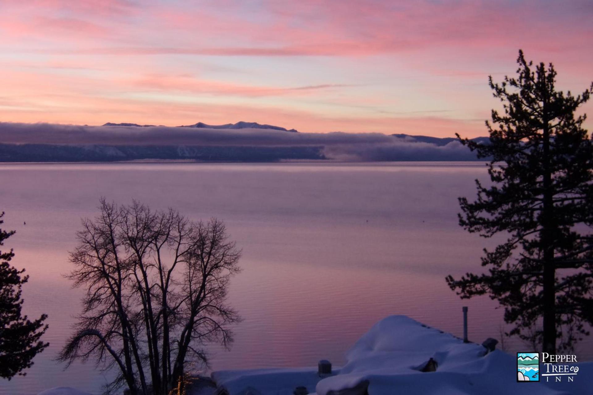 Pepper Tree Inn Tahoe City photo 4