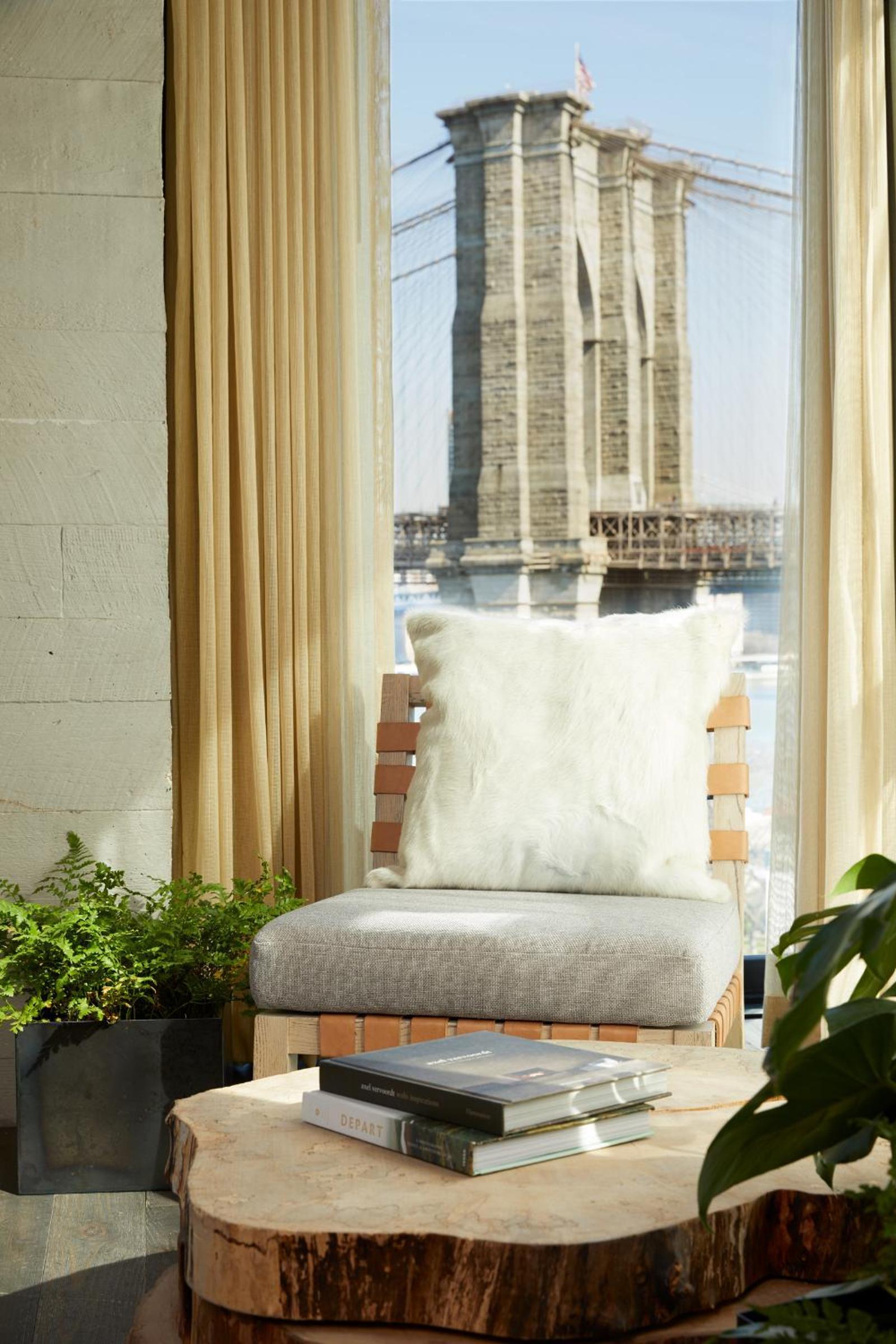 1 Hotel Brooklyn Bridge photo 54