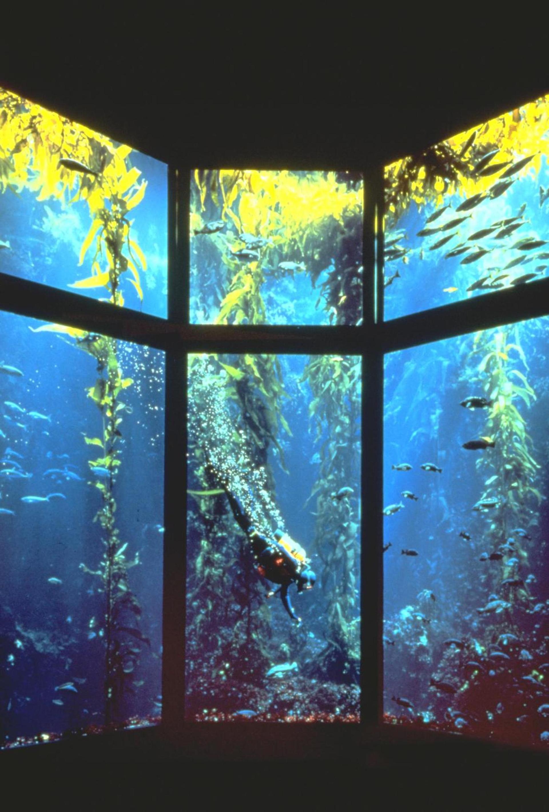 Monterey Bay Inn photo 12