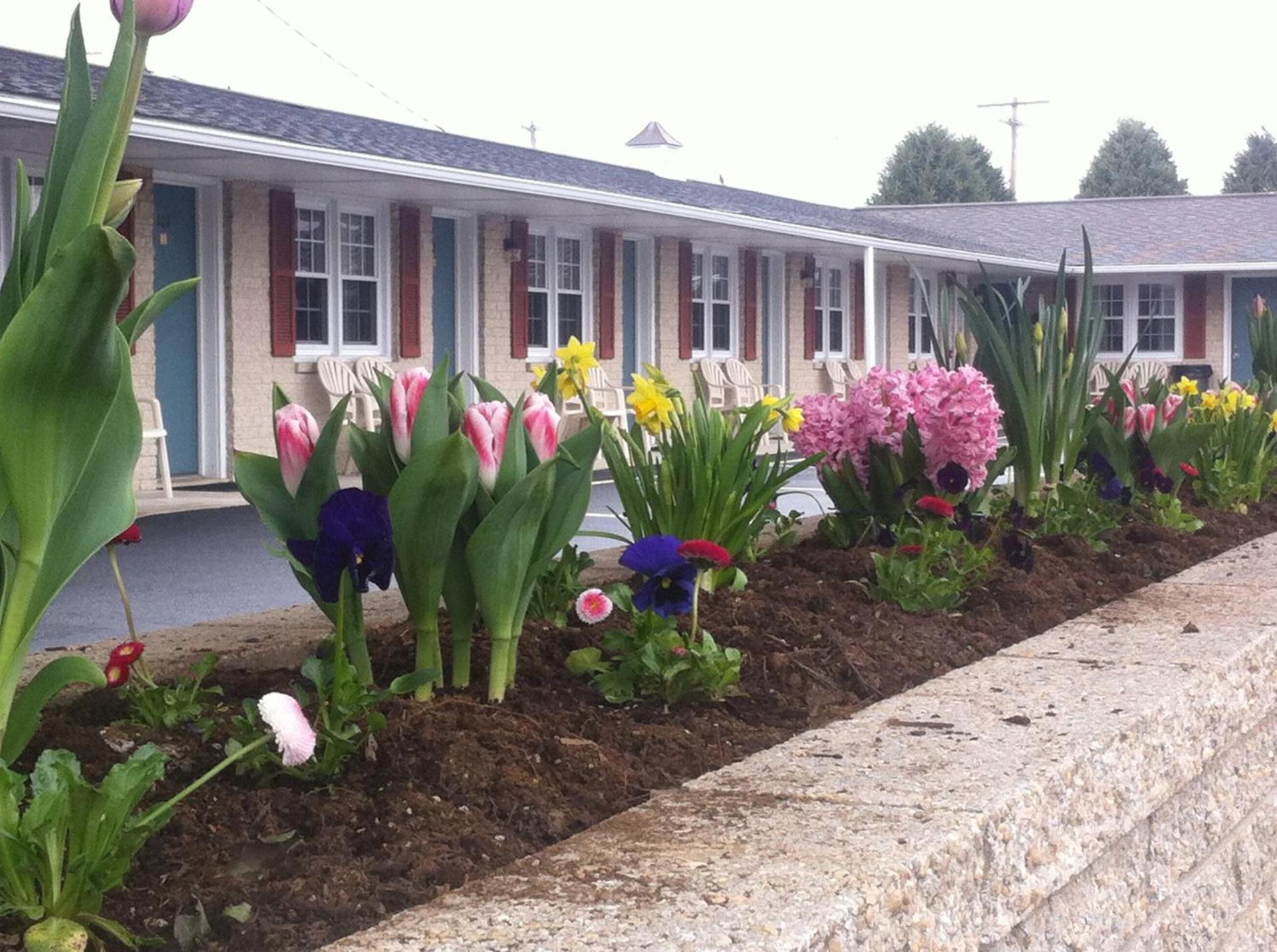 Travelers Rest Motel photo 12