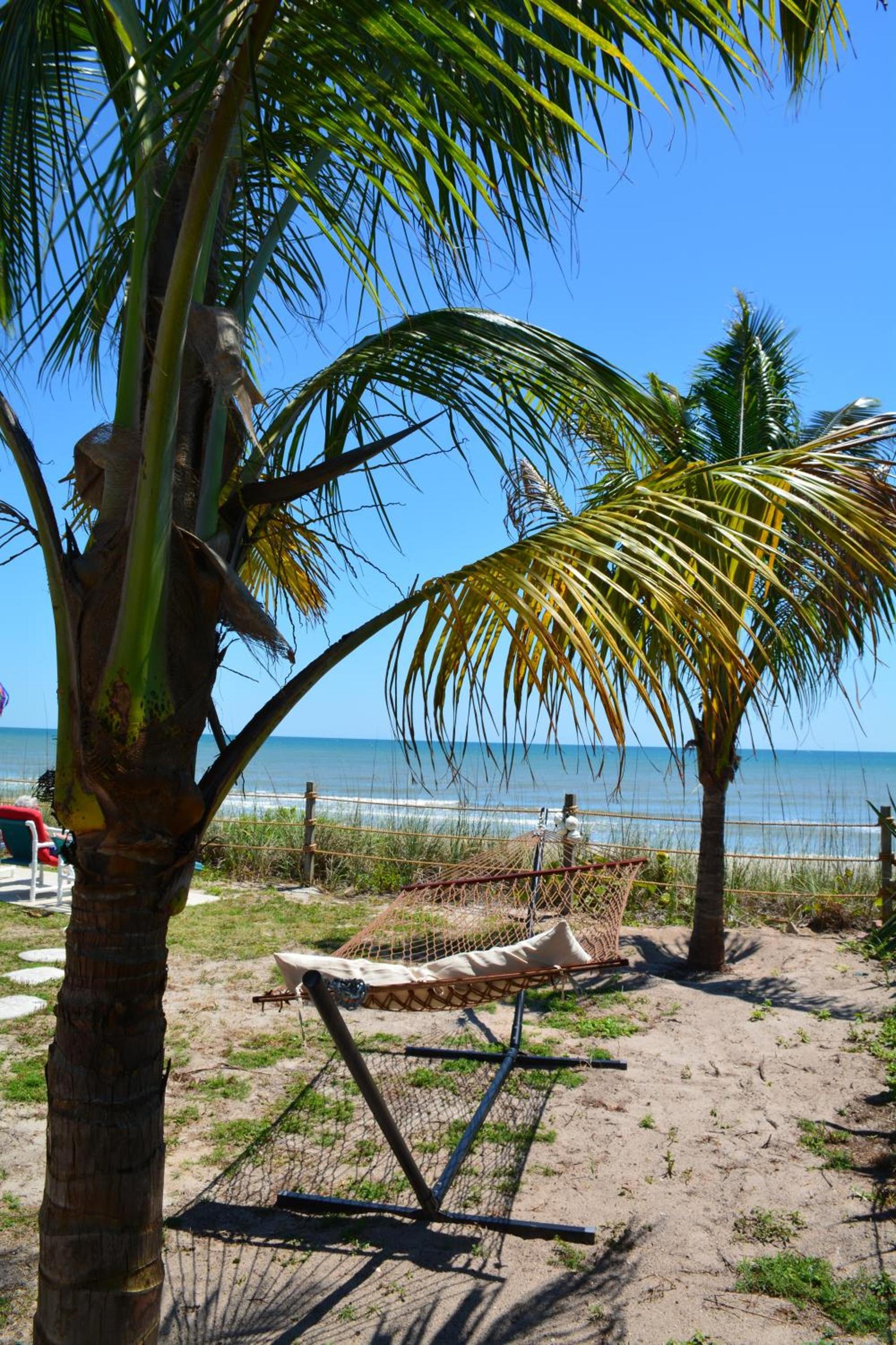 Oceanfront Sea Scape Motel photo 66